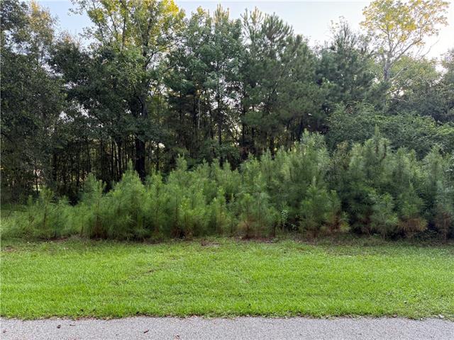 28317 PALMER Drive, Lacombe, LA 70445