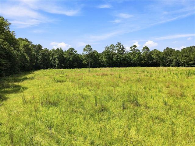 Lot 1 POOLE'S BLUFF Road, Bogalusa, LA 70427