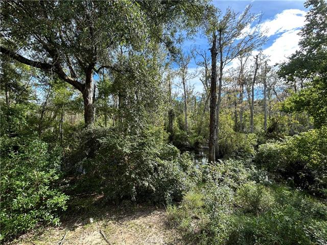 70 CREEKSIDE Place, Pearl River, LA 70452