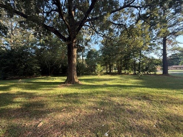 4426 GIBBENS PAYNE Avenue, Baker, LA 70714