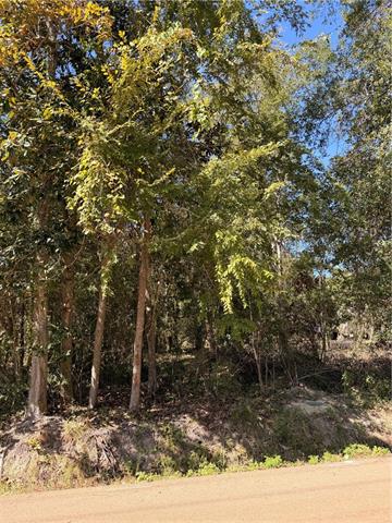 690 LAMBERT Street, Mandeville, LA 70448