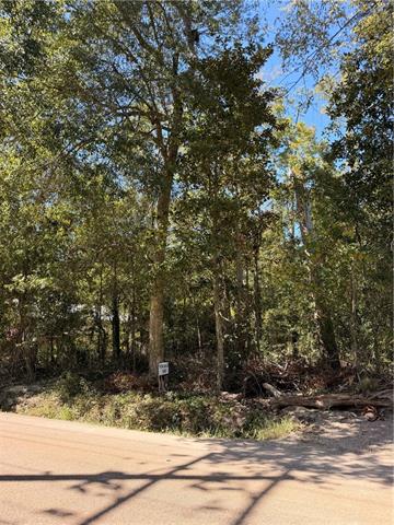 690 LAMBERT Street, Mandeville, LA 70448