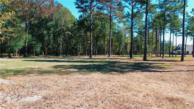 0 HWY 107, Marksville, LA 71351