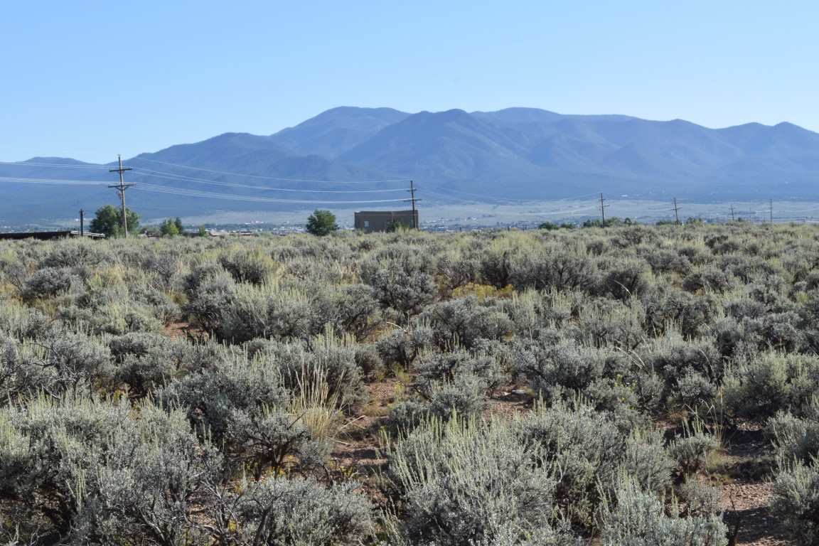 BLUEBERRY HILL (07A)