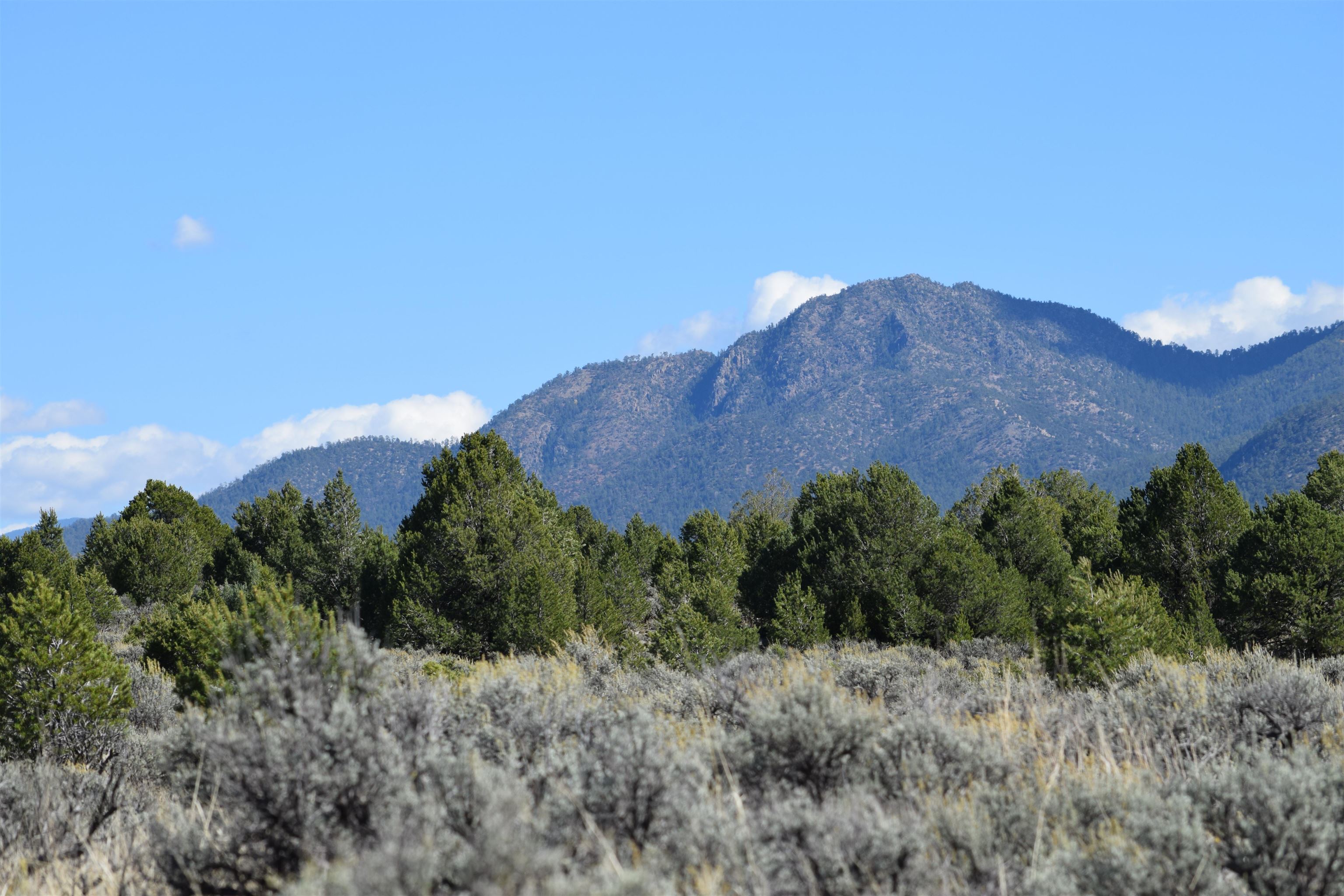 CARSON (10A)