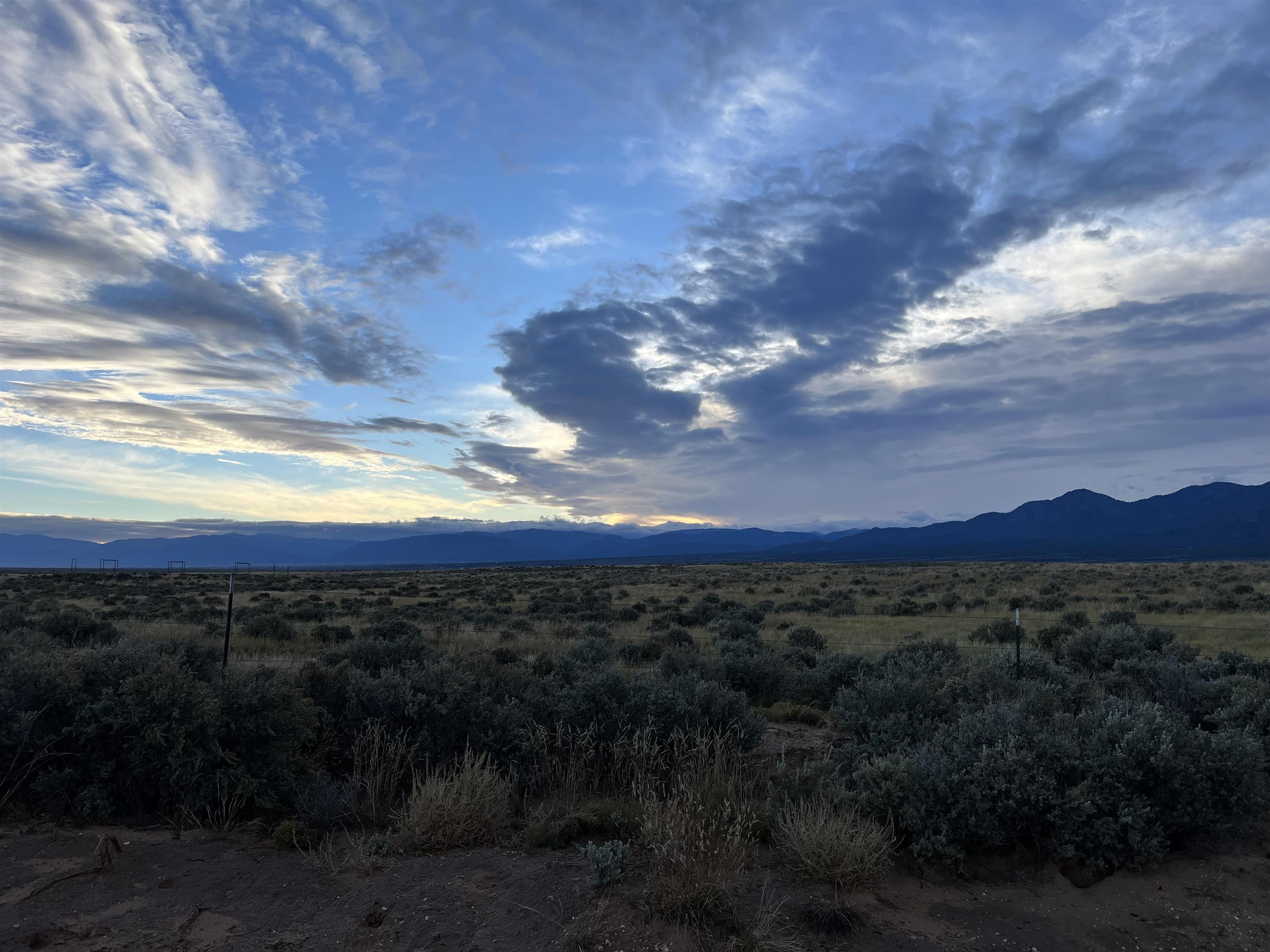 CARSON (10A)