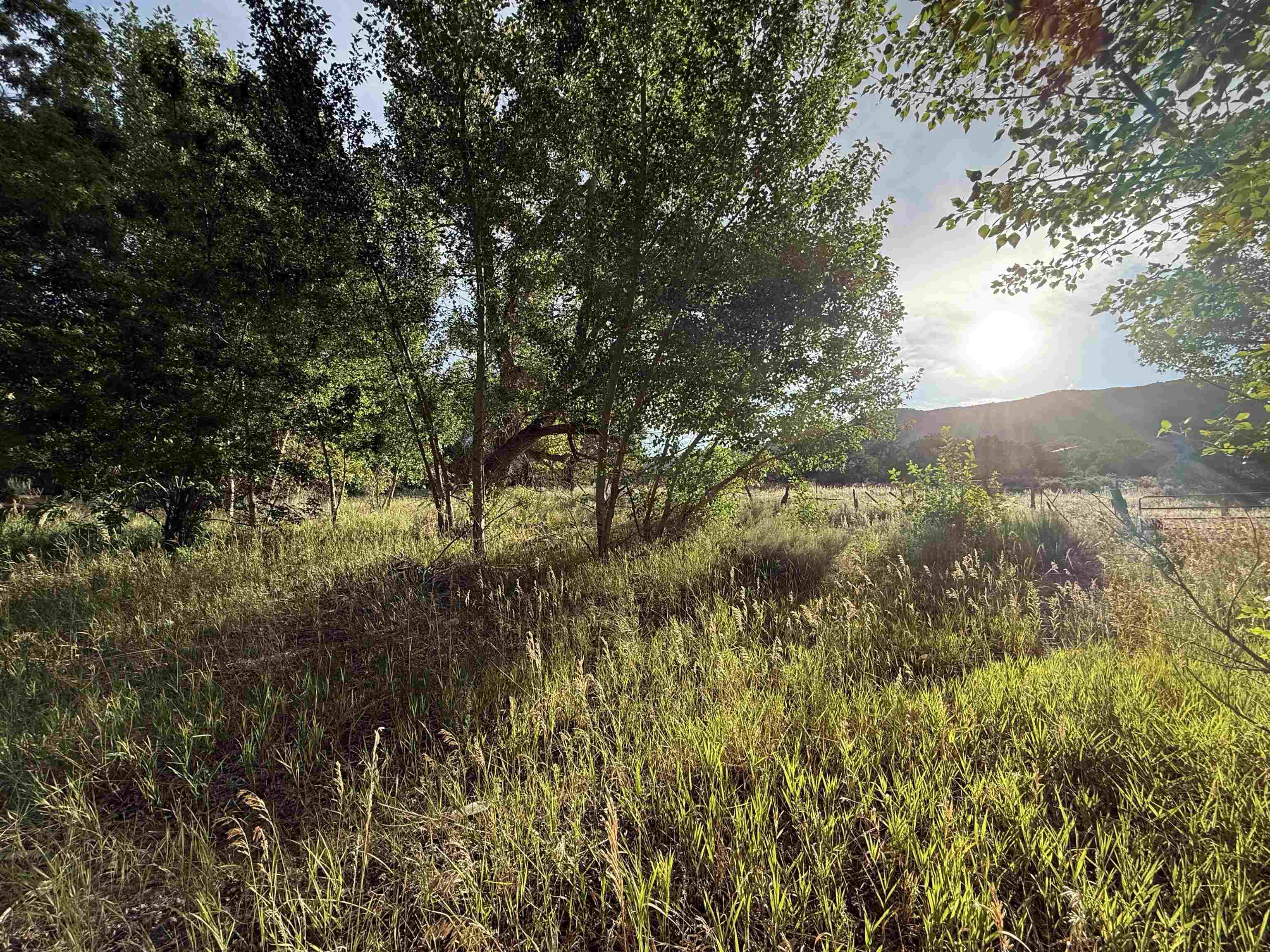 CANON FOOTHILLS (09B)