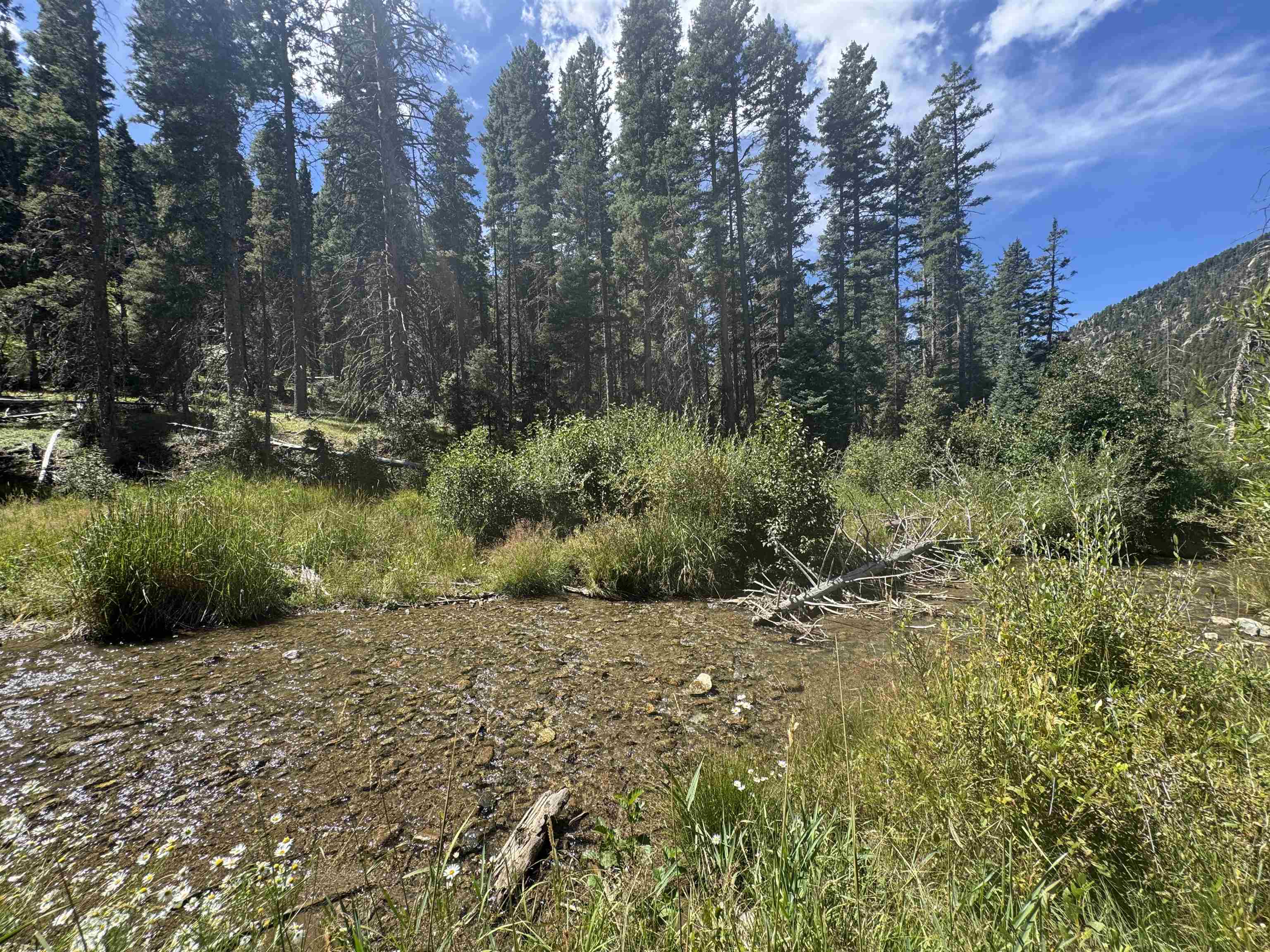 TAOS SKI VALLEY (44A)
