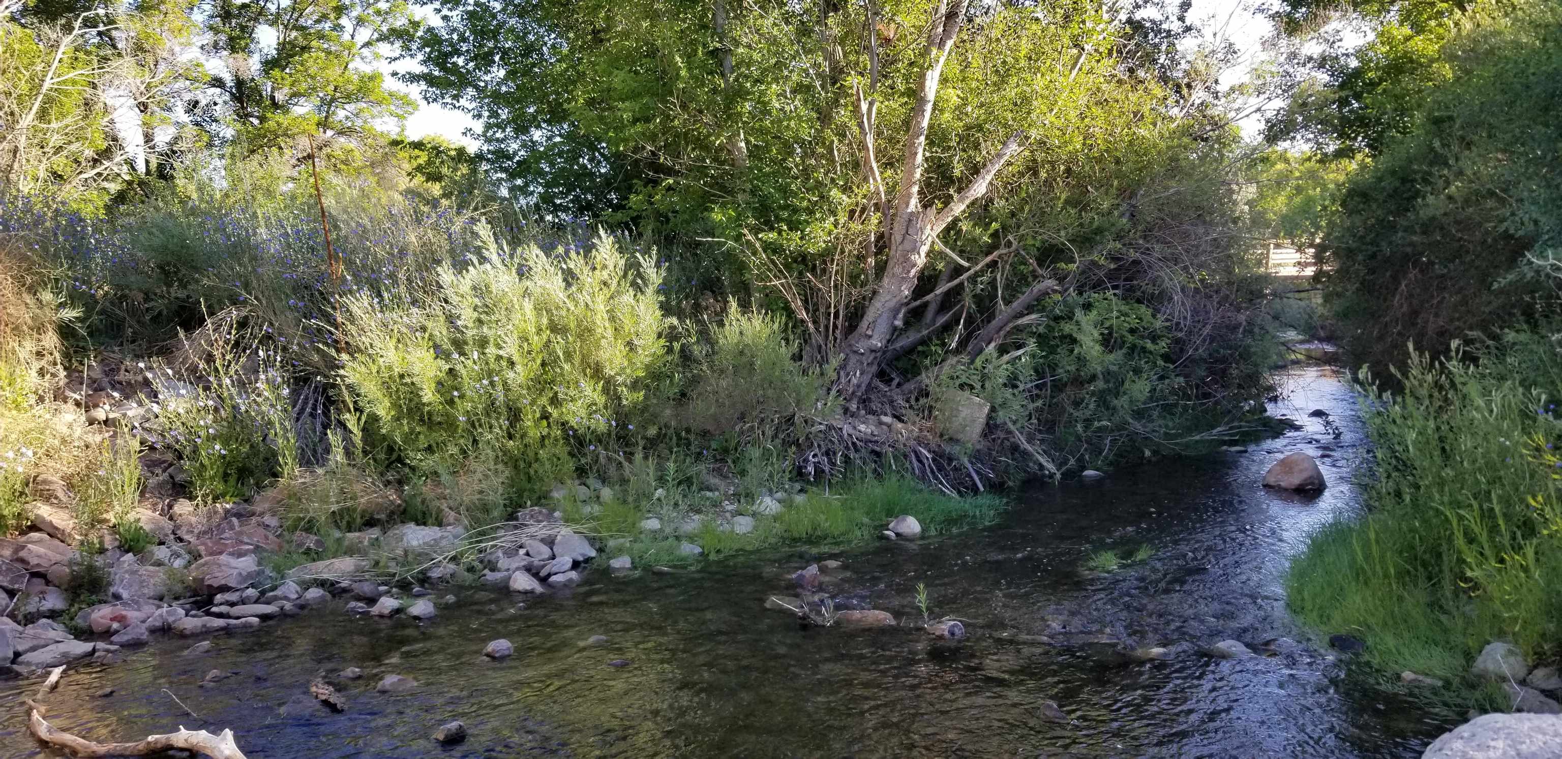 RANCHOS DE TAOS (36A)