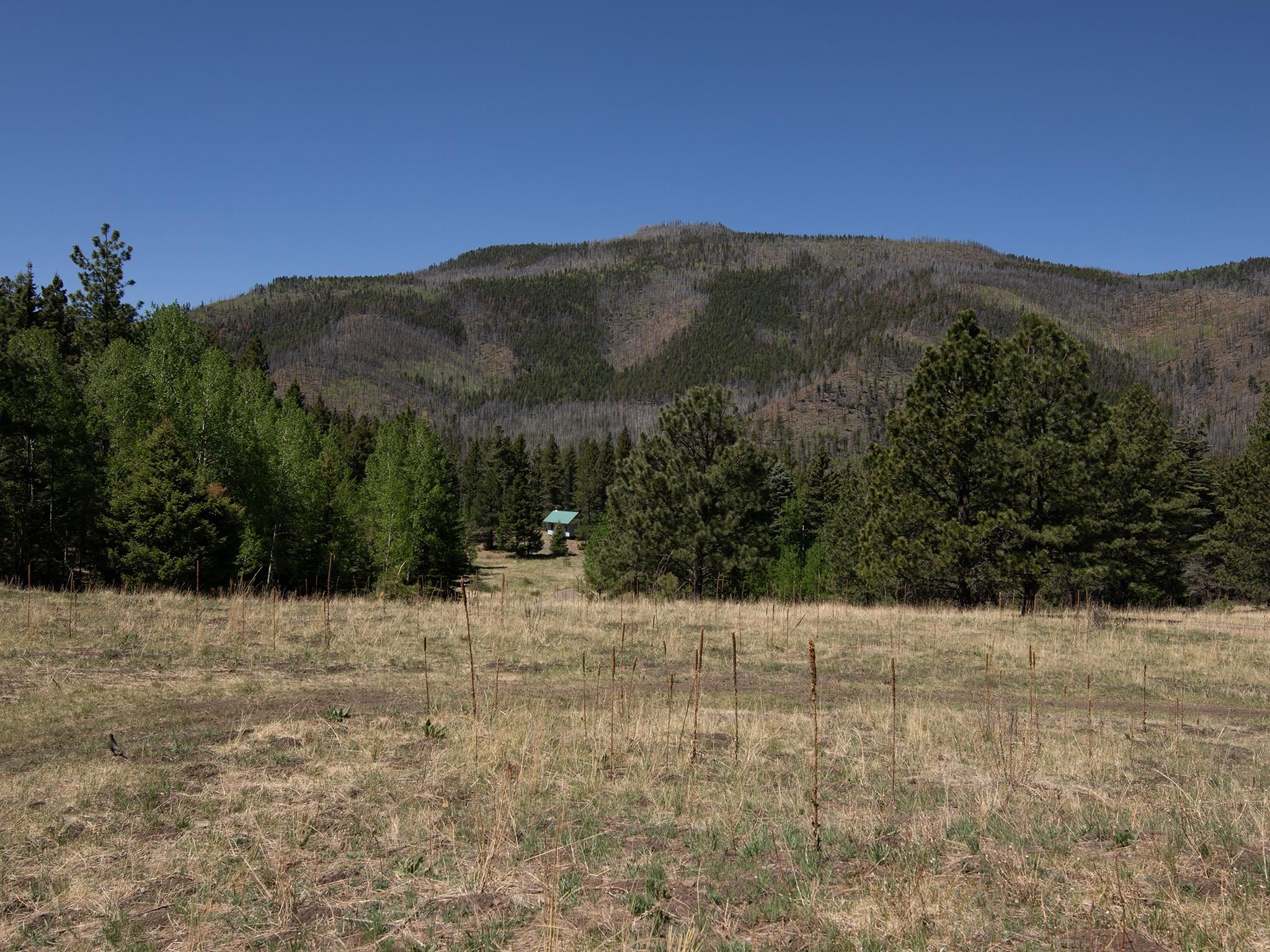 MORA COUNTY