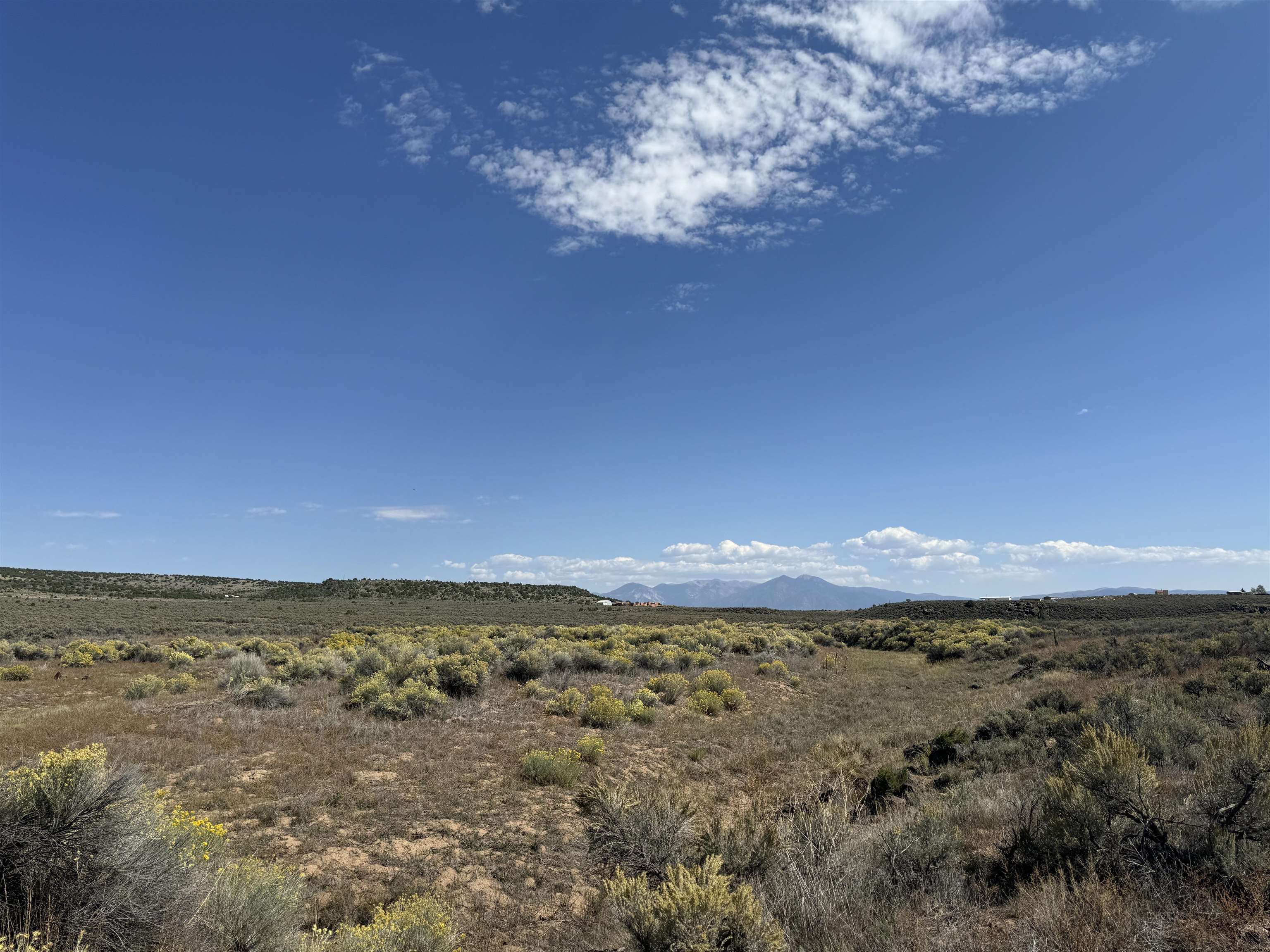CARSON (10A)