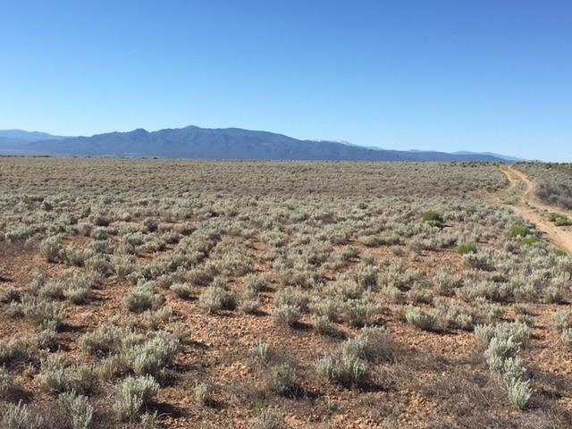 WEST GORGE BRDG (53B)
