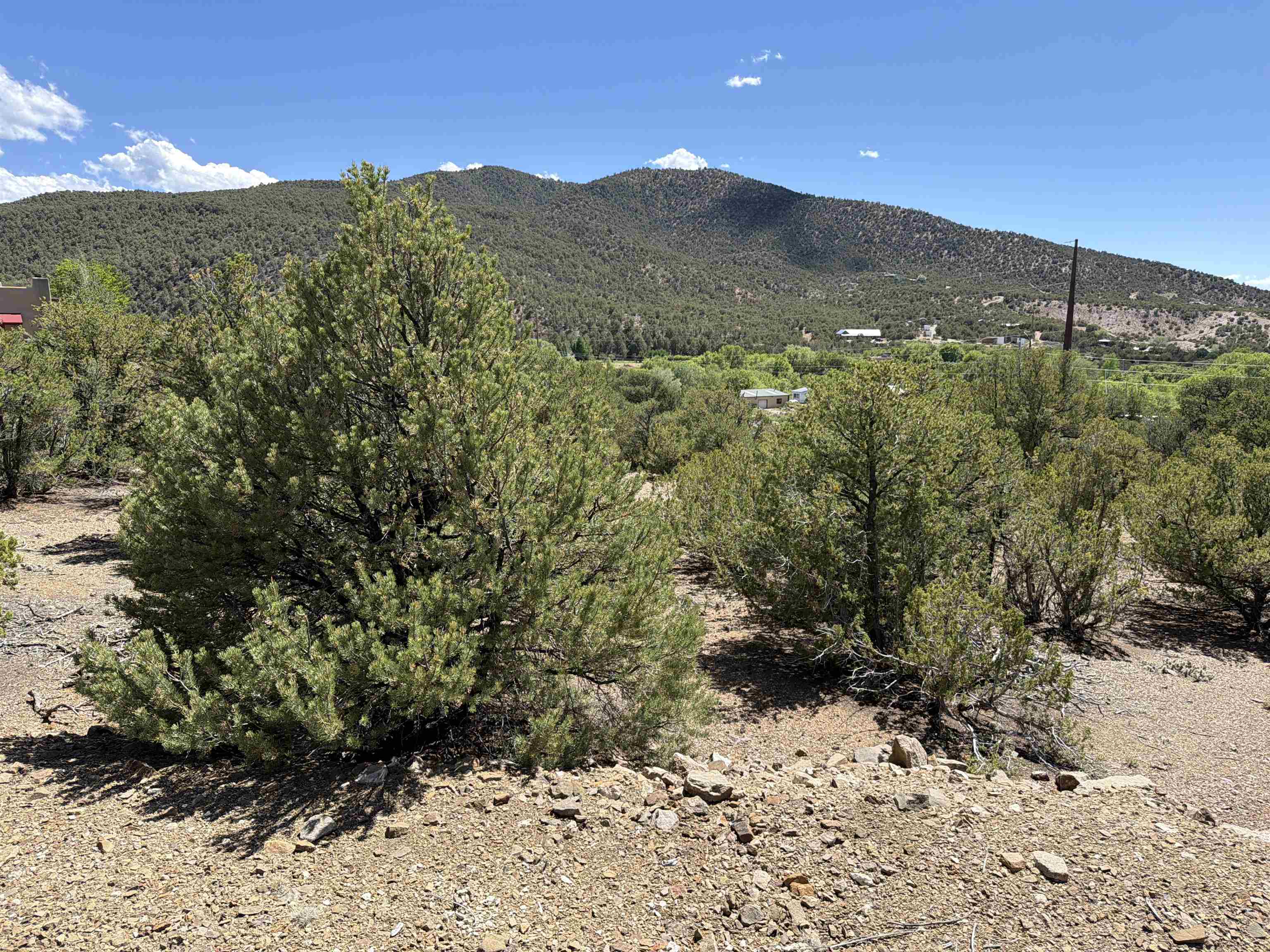 TALPA FOOTHILLS (43B)