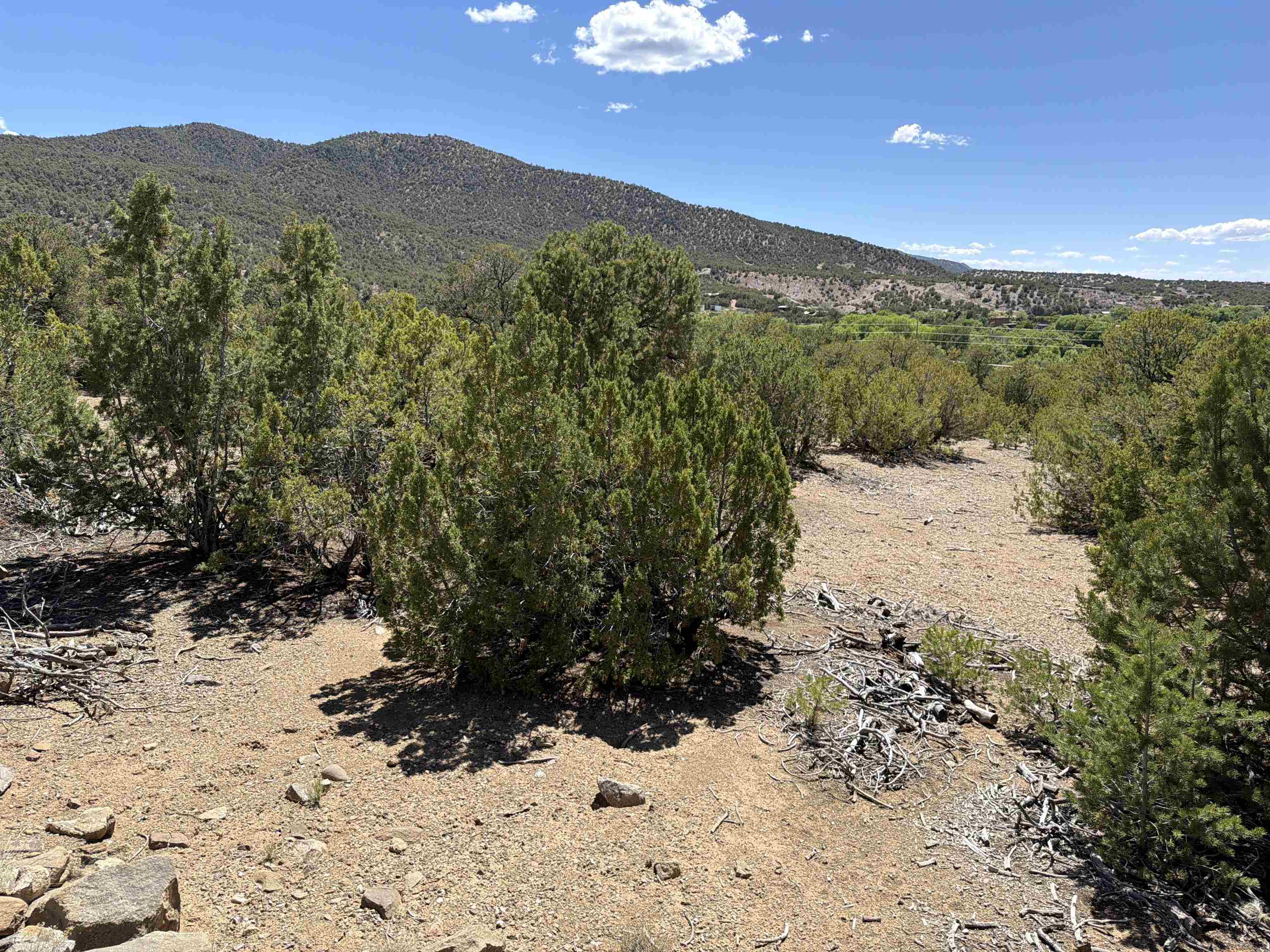 TALPA FOOTHILLS (43B)