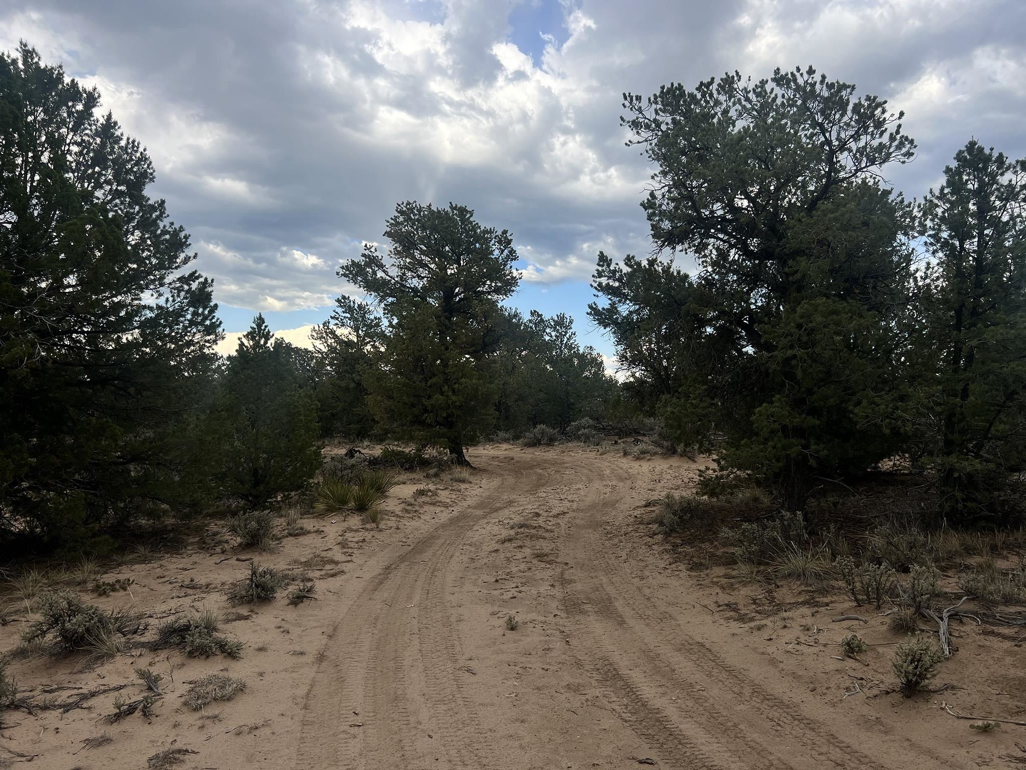 CARSON (10A)