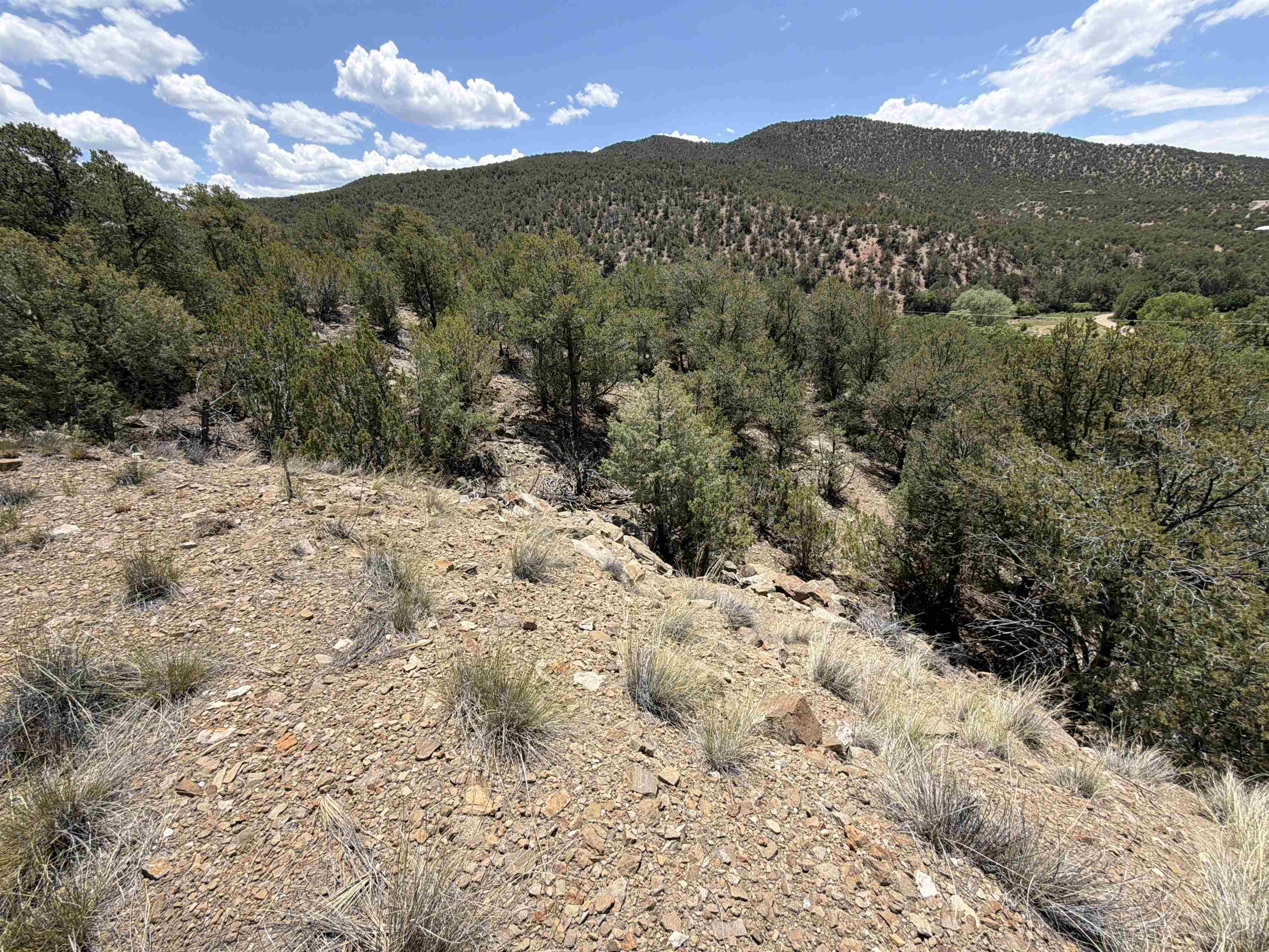 TALPA FOOTHILLS (43B)