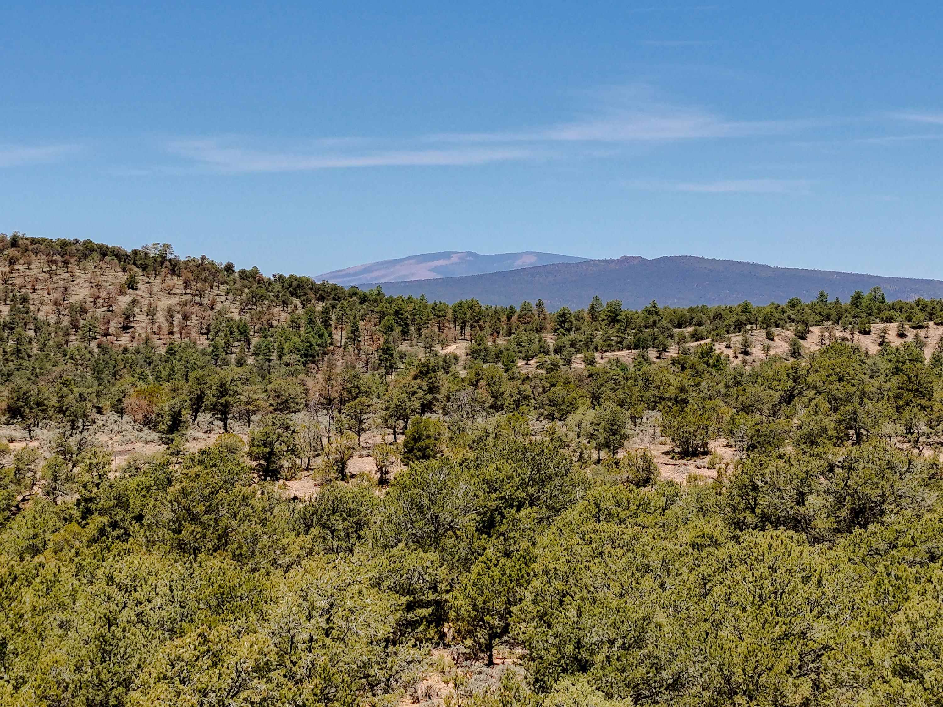 VALDEZ NORTH (49B)