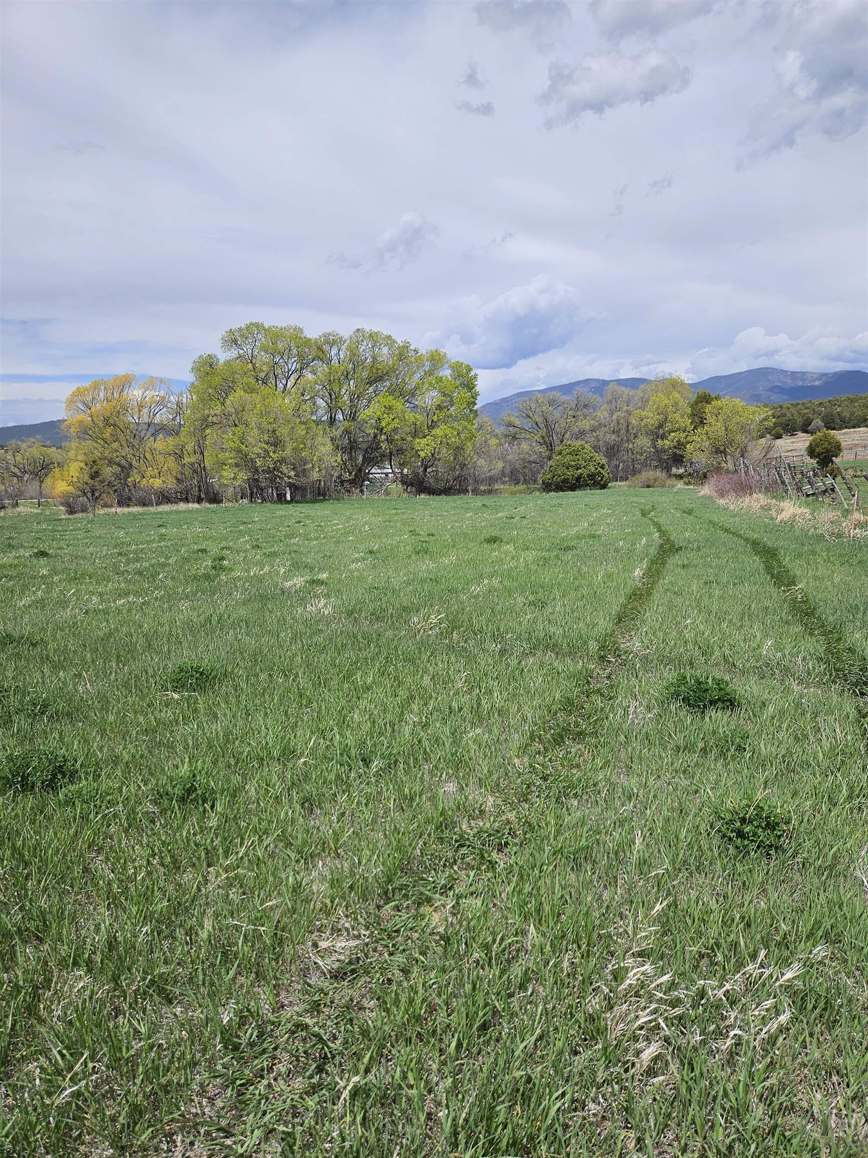 PENASCO AREA (29B)