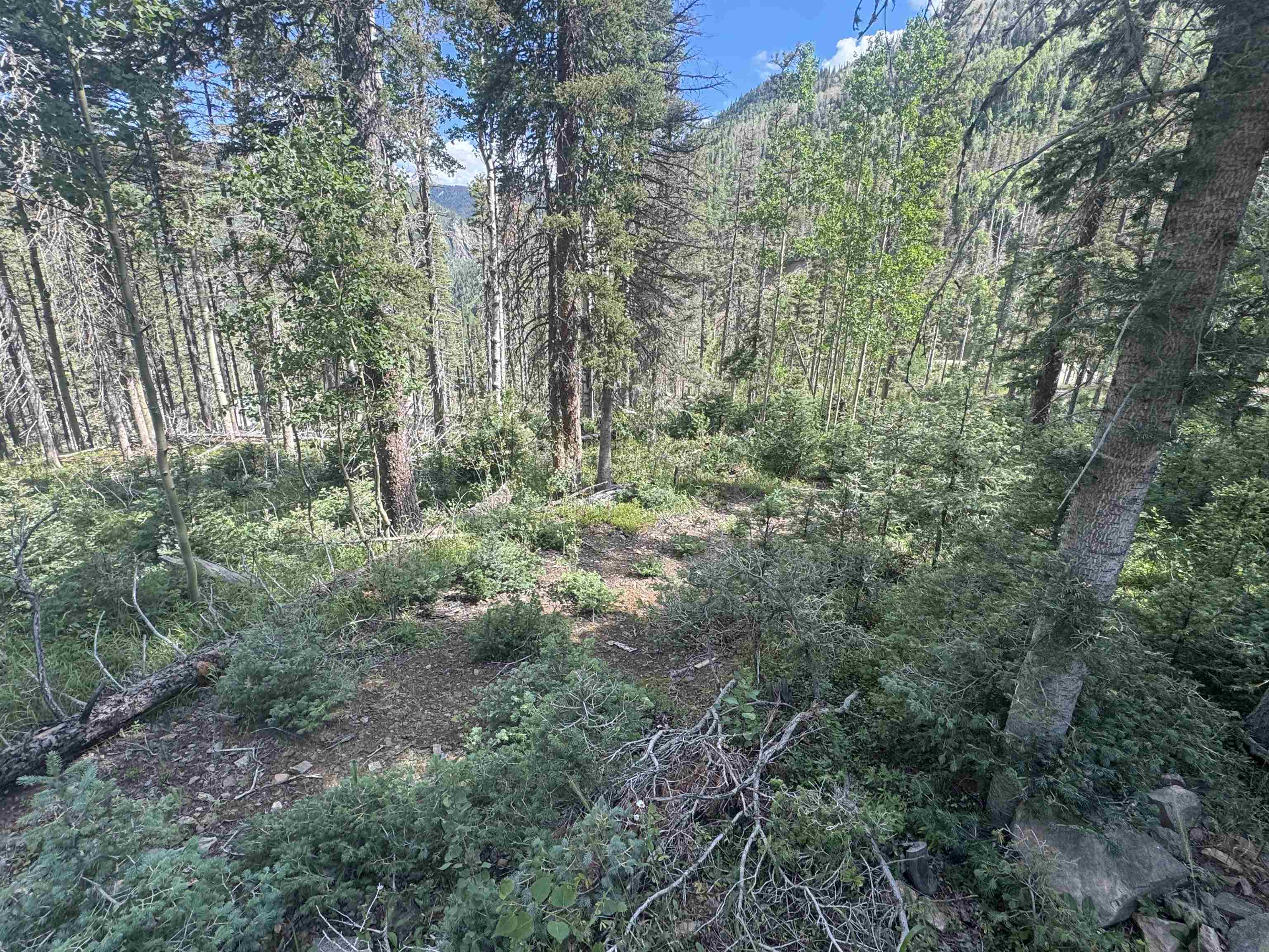 TAOS SKI VALLEY (44A)