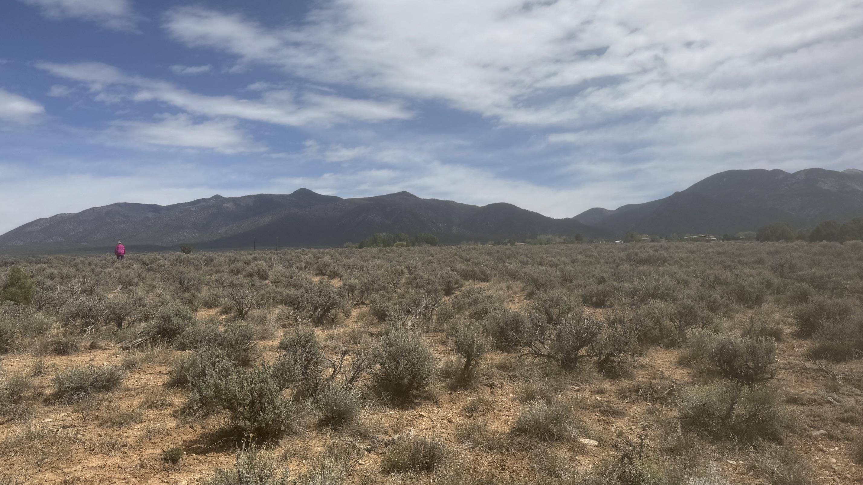 DES MONTES (16A)