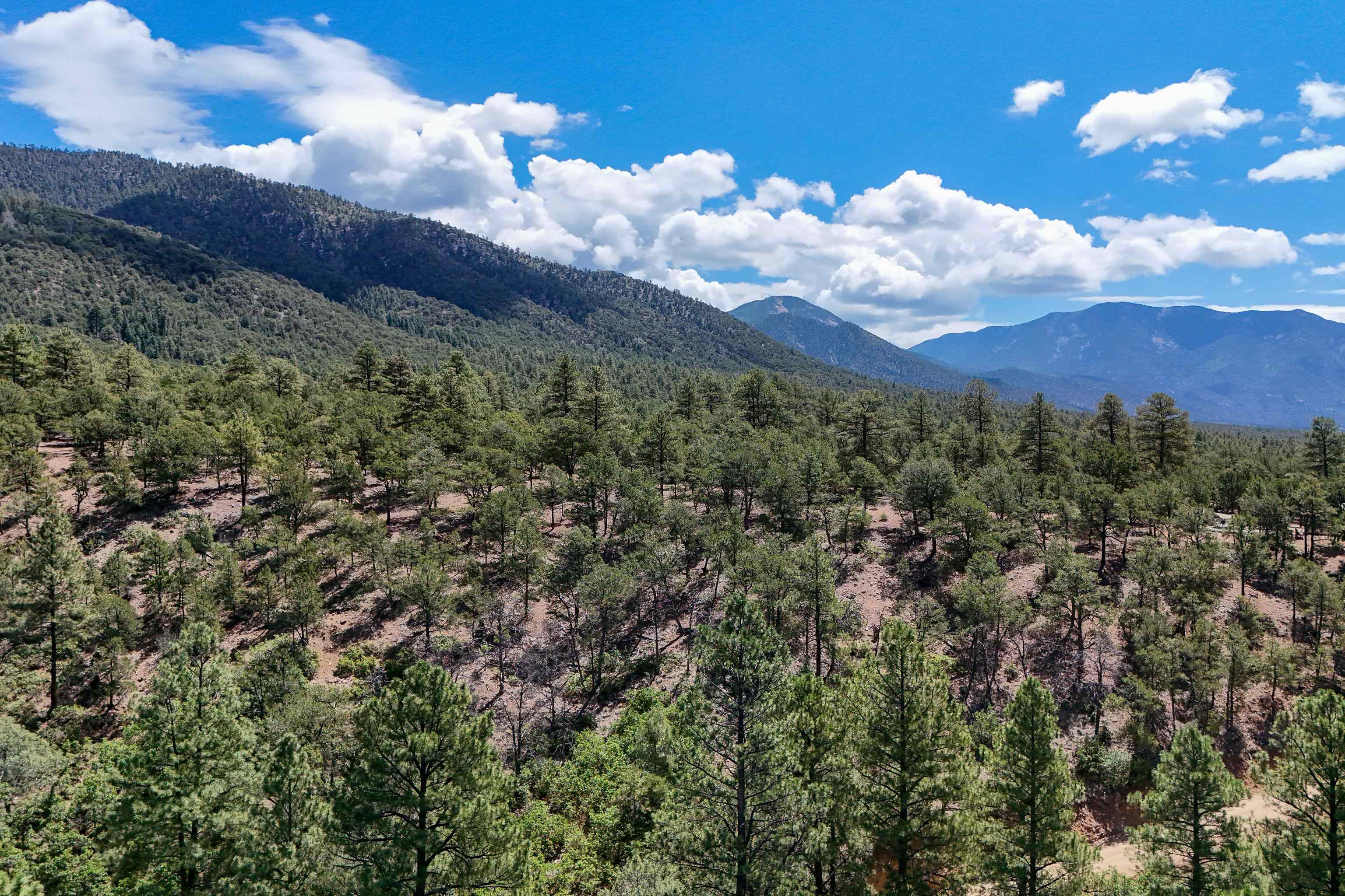 VALDEZ NORTH (49B)