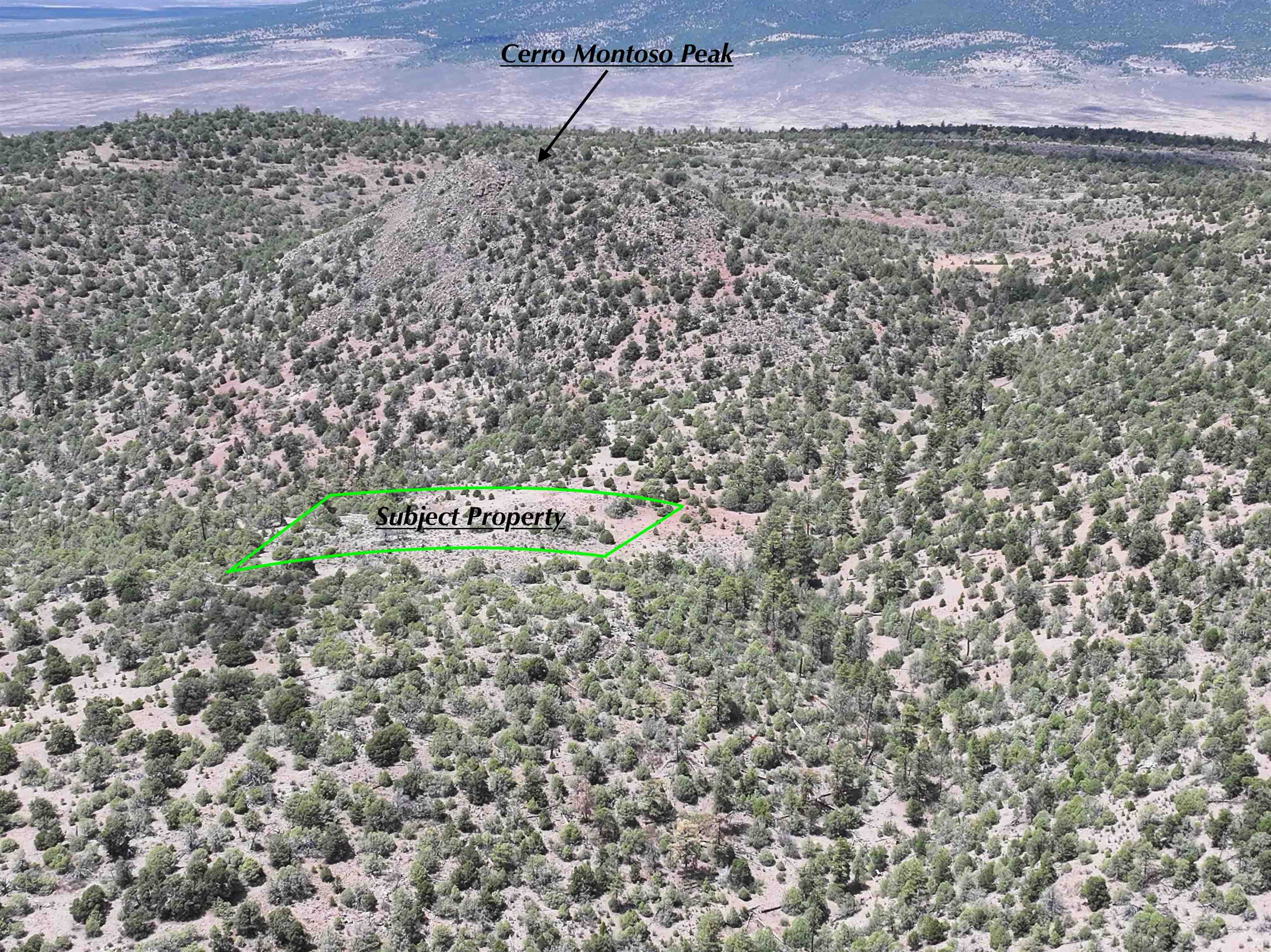 WEST GORGE BRDG (53B)