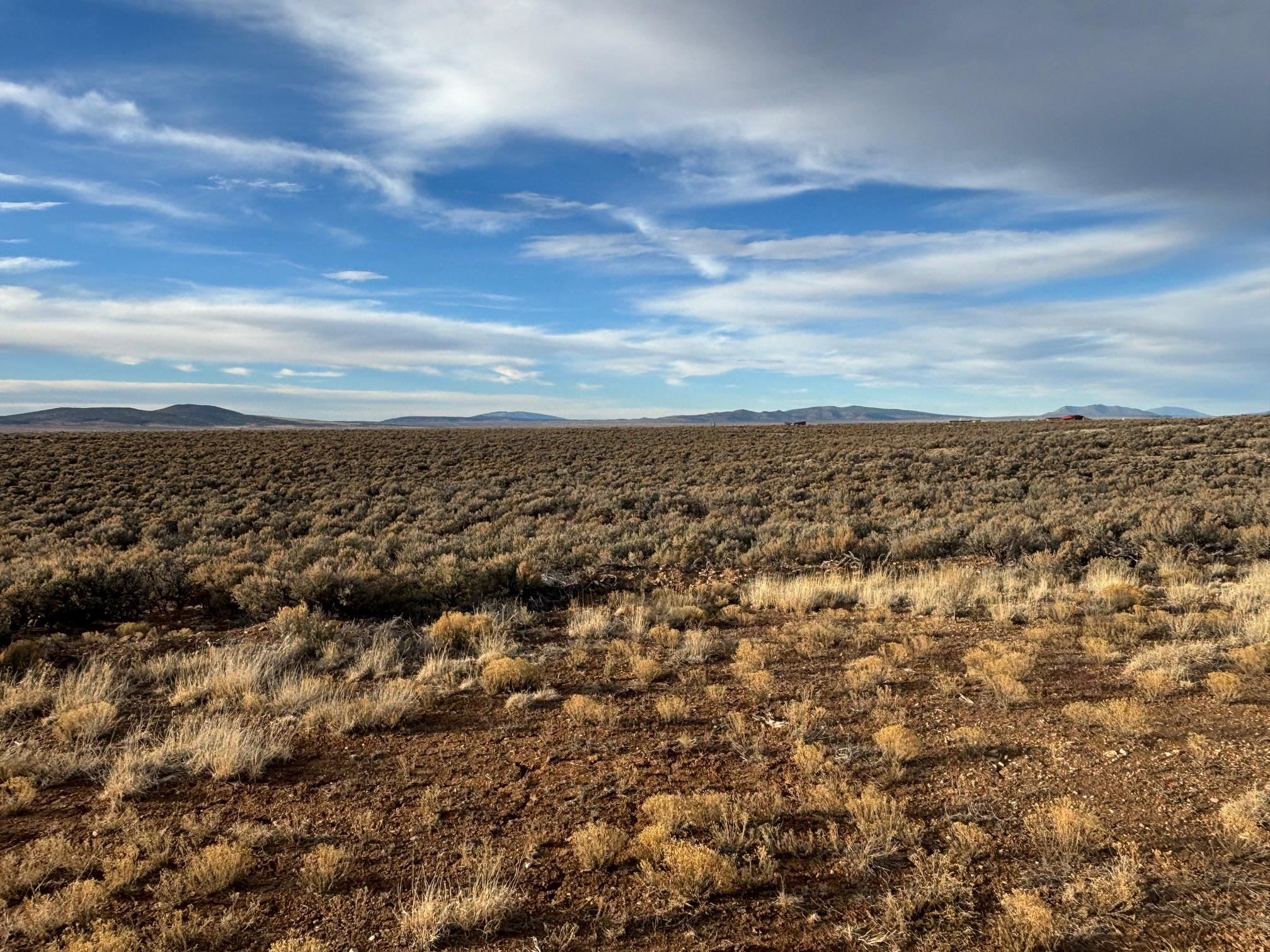 CARSON (10A)