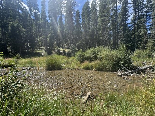 TAOS SKI VALLEY (44A)