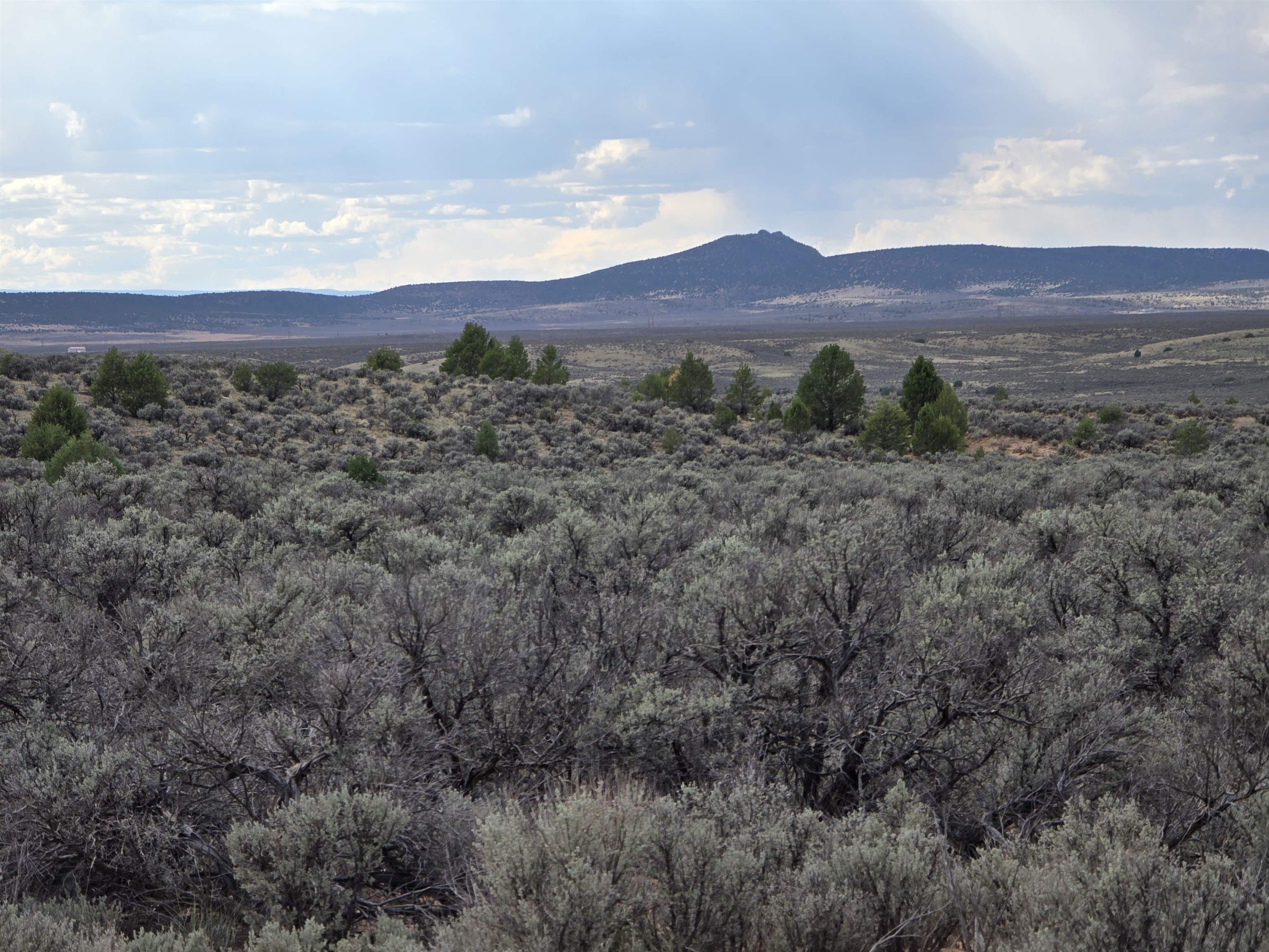 ORCHARD/LD/CATL/GIJ (29A)