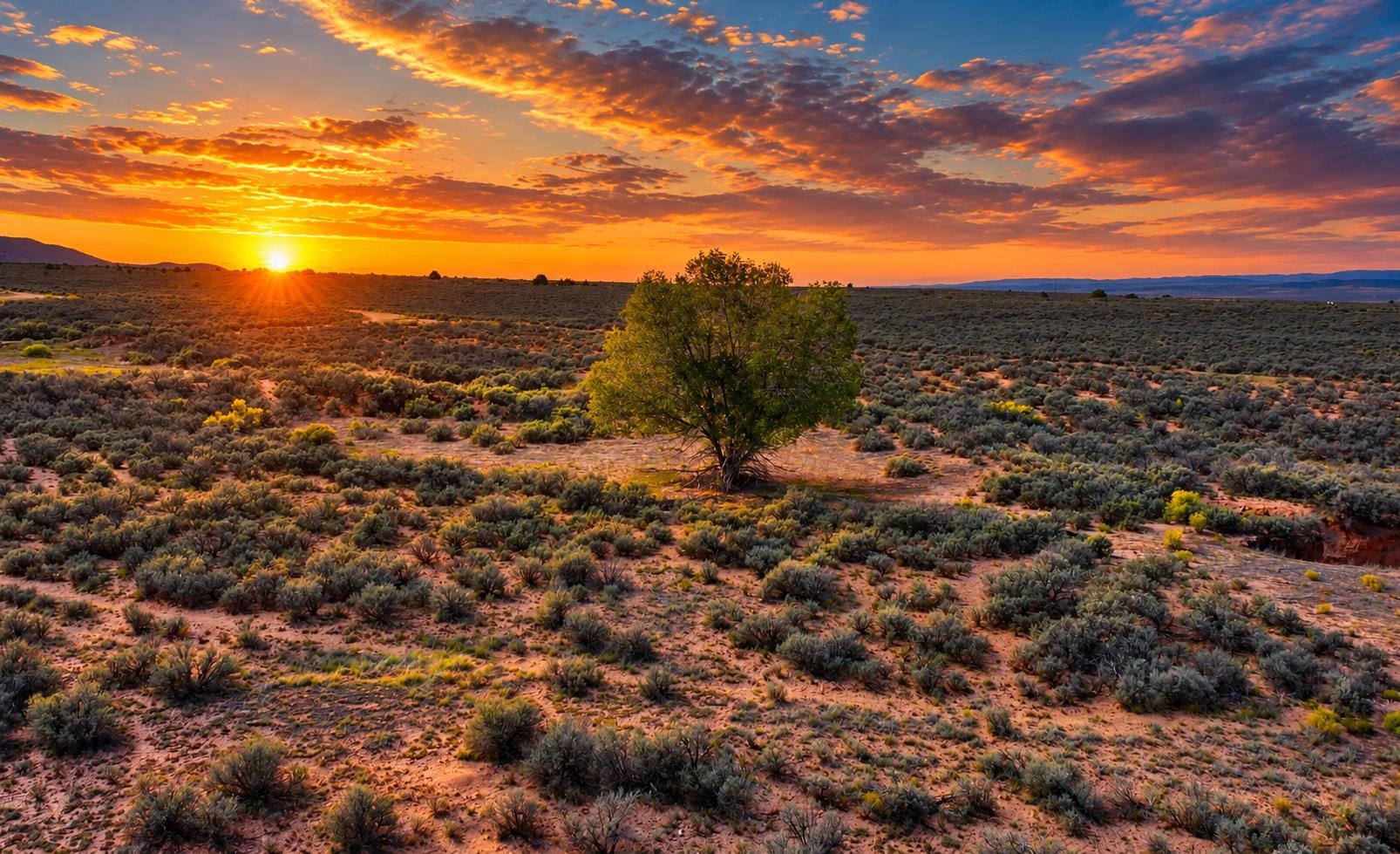 LLANO QUEMADO (28B)