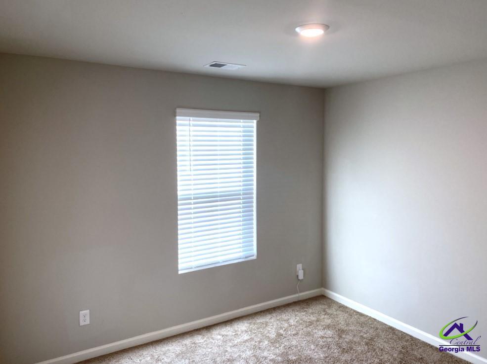 119 River Birch Lane, Macon, GA 31216 - Photo 15