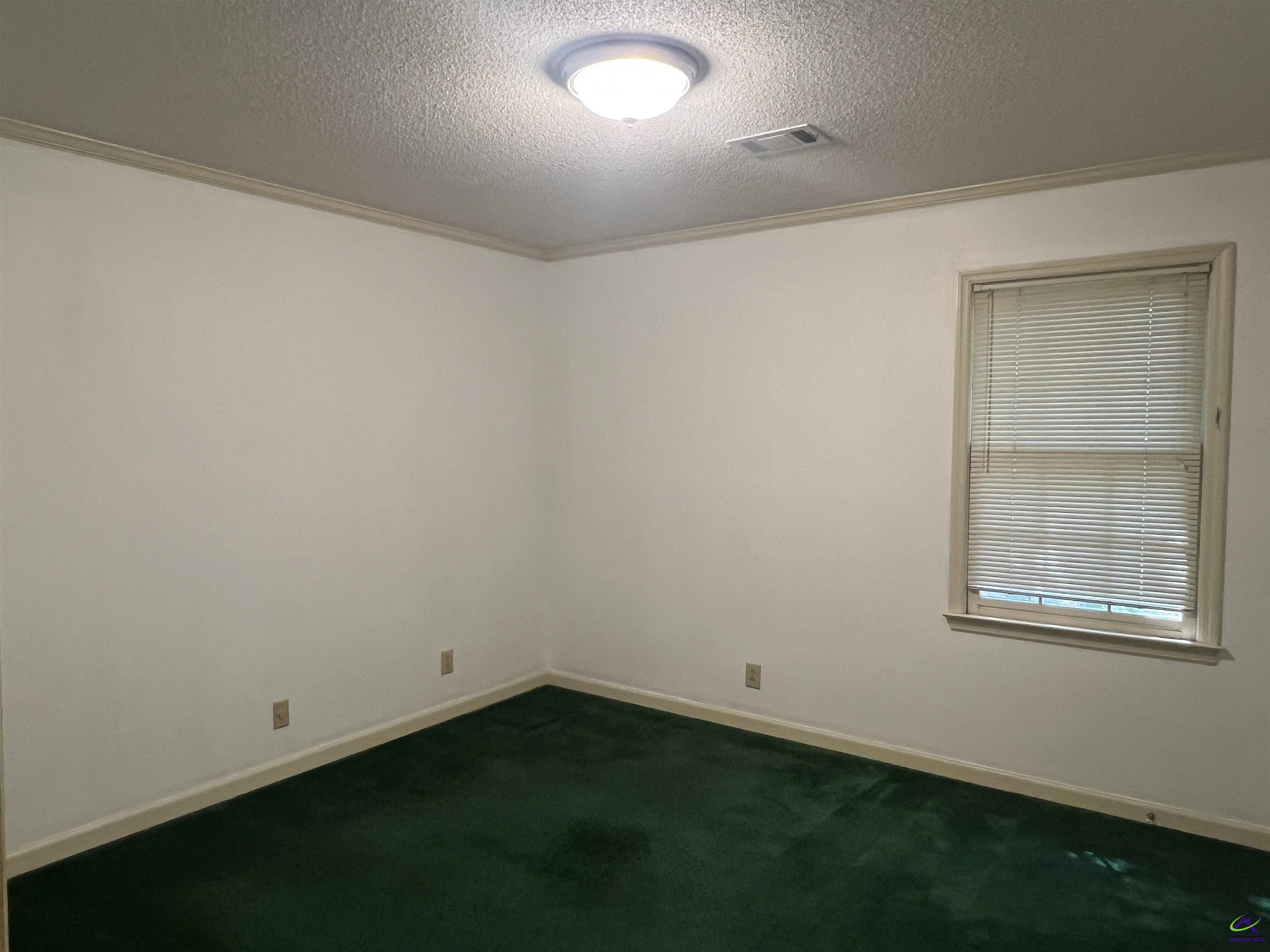 136 River Knoll Drive, Macon, GA 31211 - photo 23