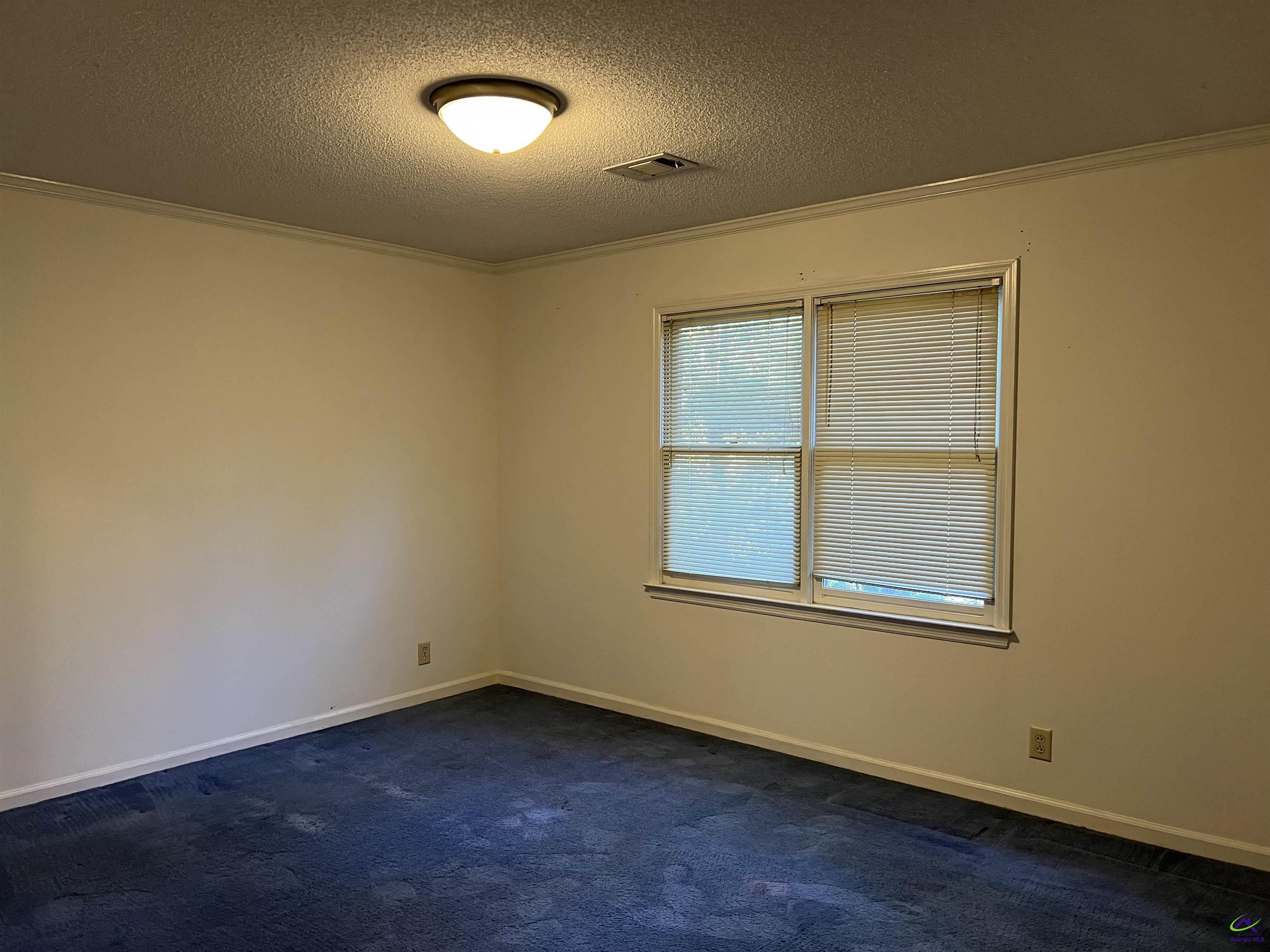 136 River Knoll Drive, Macon, GA 31211 - photo 33