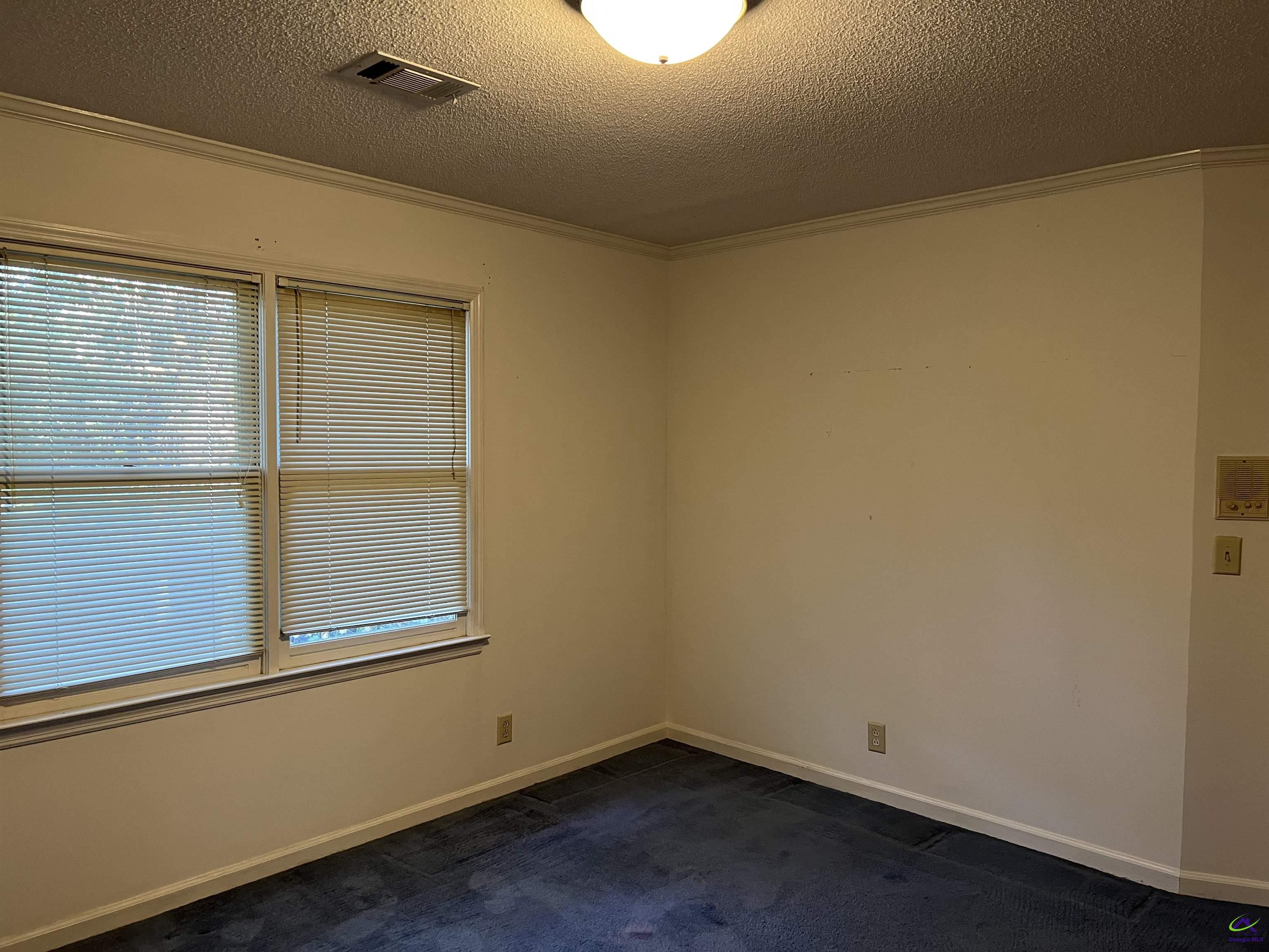 136 River Knoll Drive, Macon, GA 31211 - Photo 34