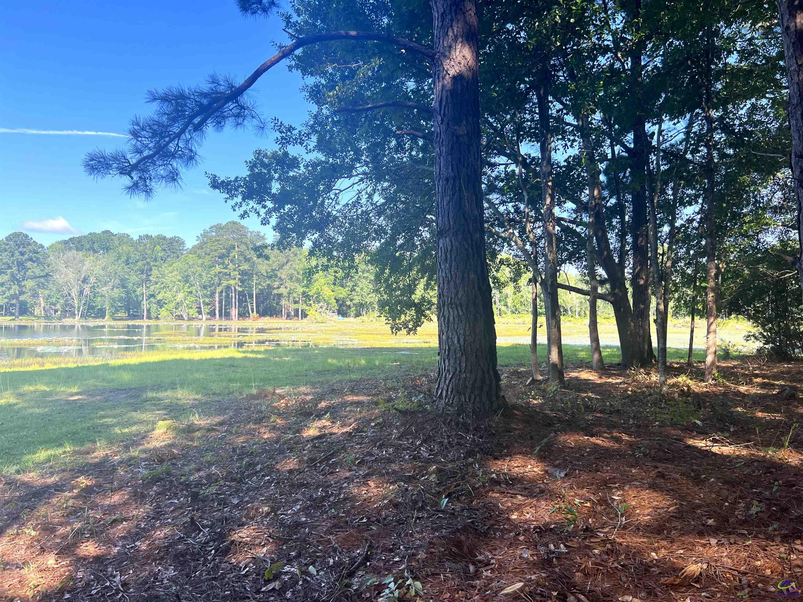 312 Williams Road, Cochran, GA 31014 - Photo 4