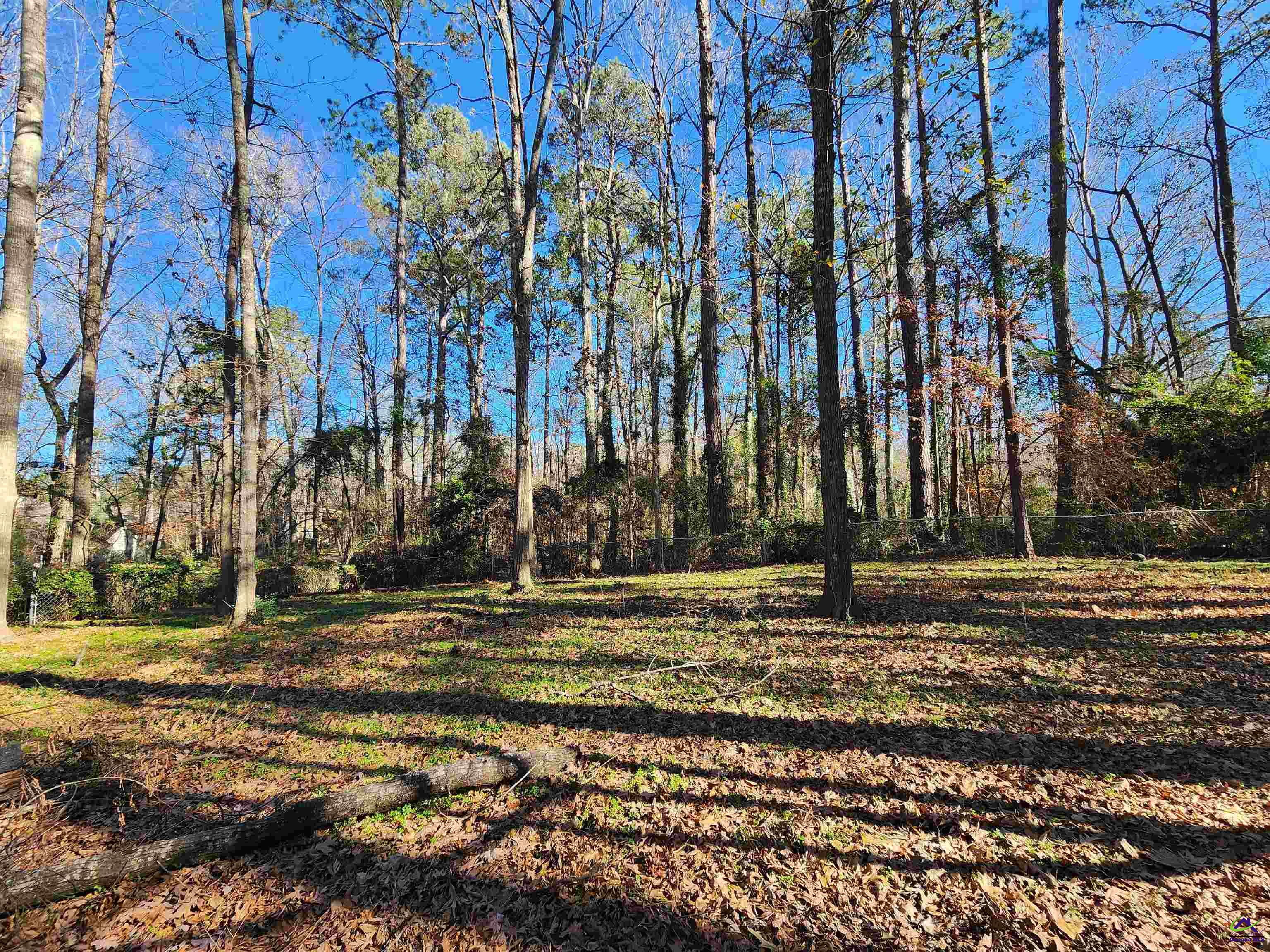 515 Wilderness Drive, Macon, GA 31220 - photo 18