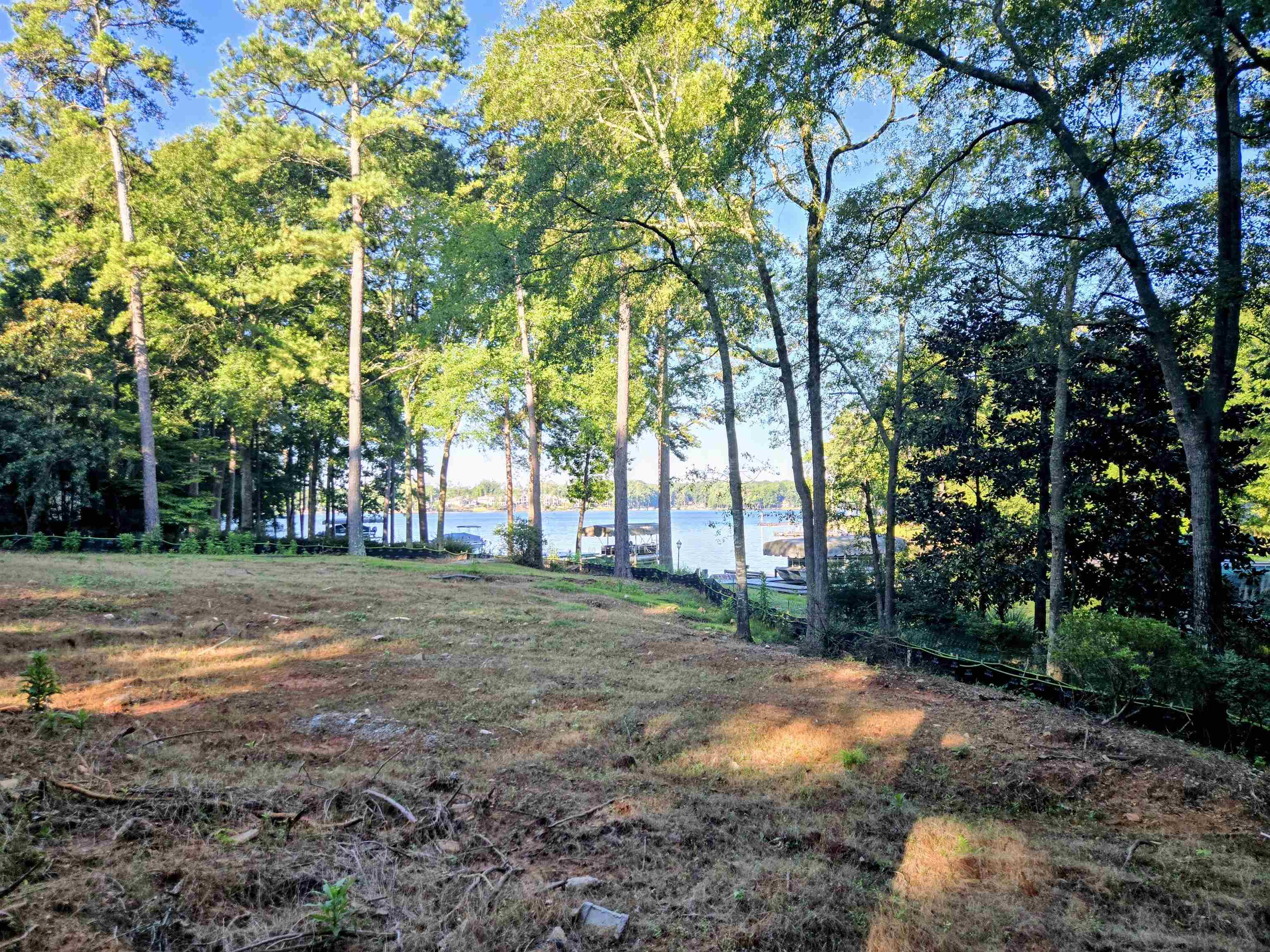 1330 Dogwood Drive image 4