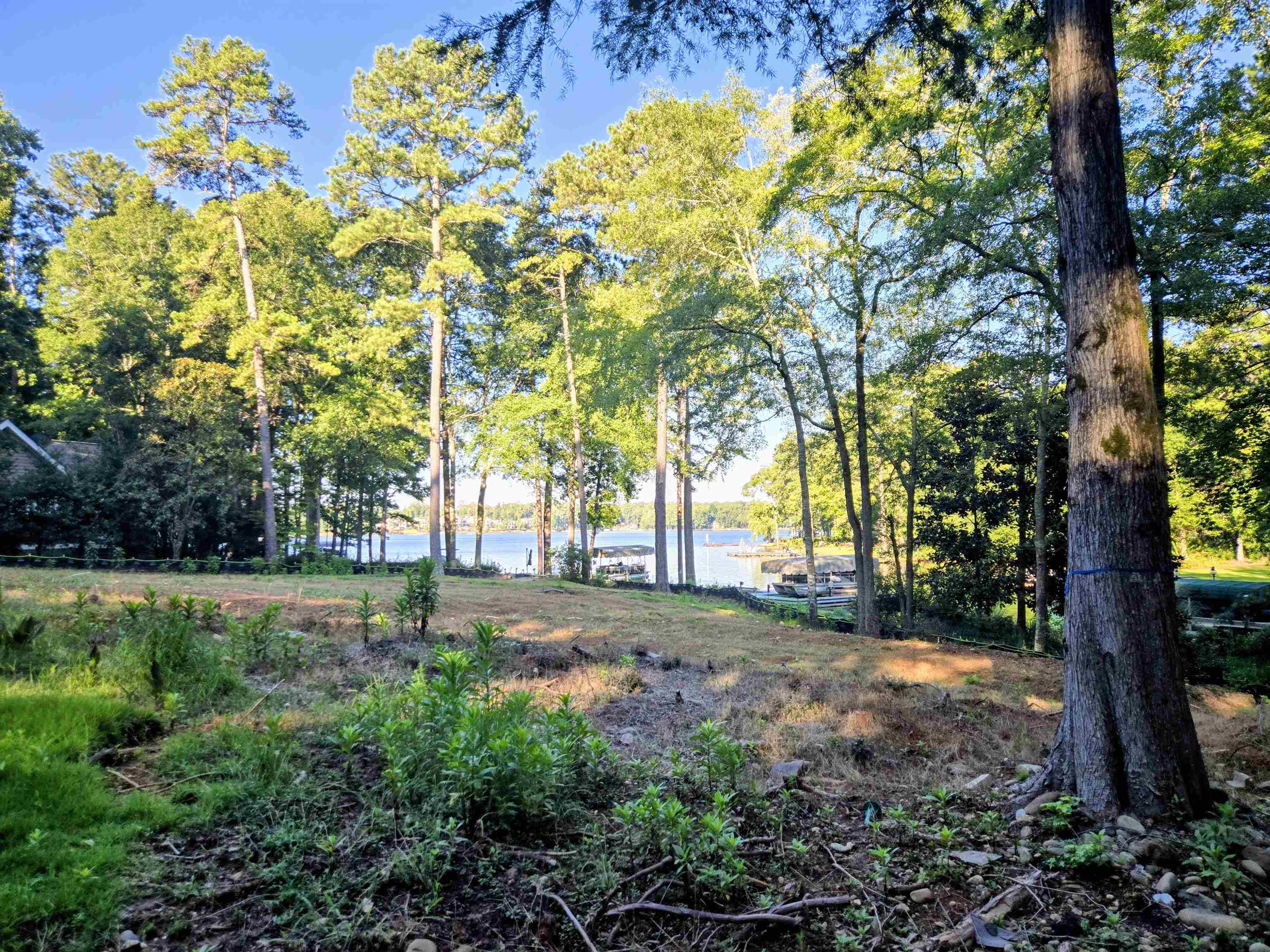 1330 Dogwood Drive image 6