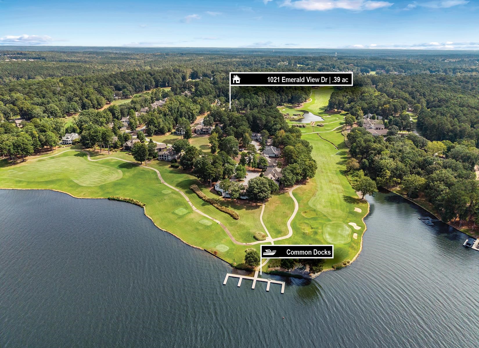 1021 EMERALD VIEW DRIVE image 6