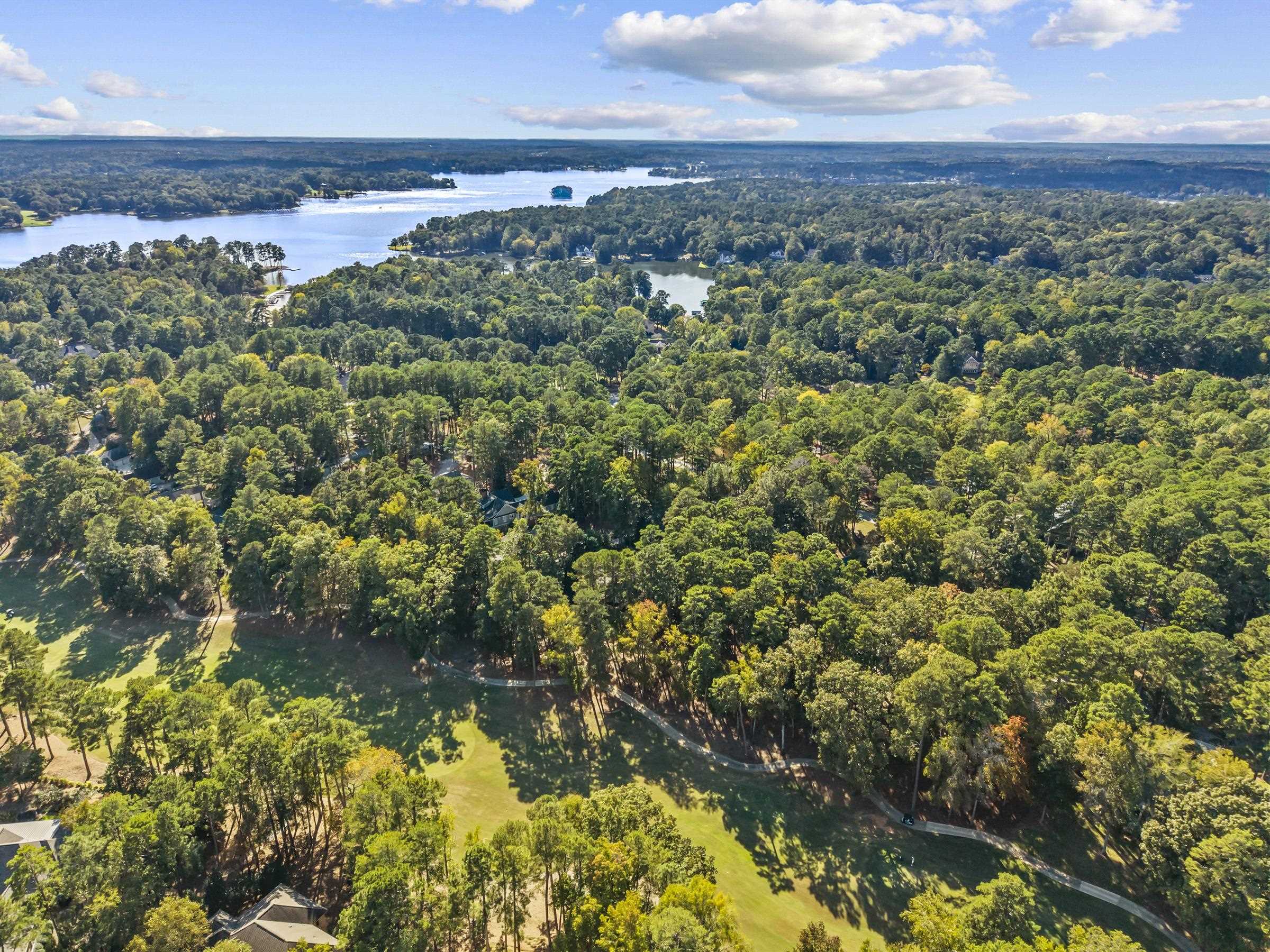 1040 KIMBROUGH HILL LANE image 43