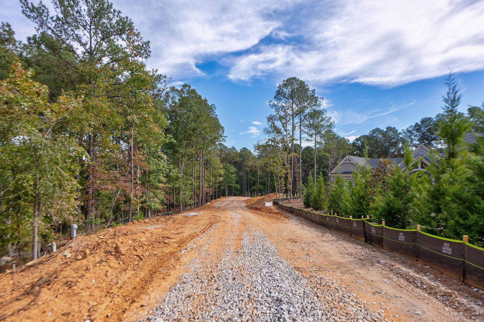 1220 BACHELORS RUN image 12