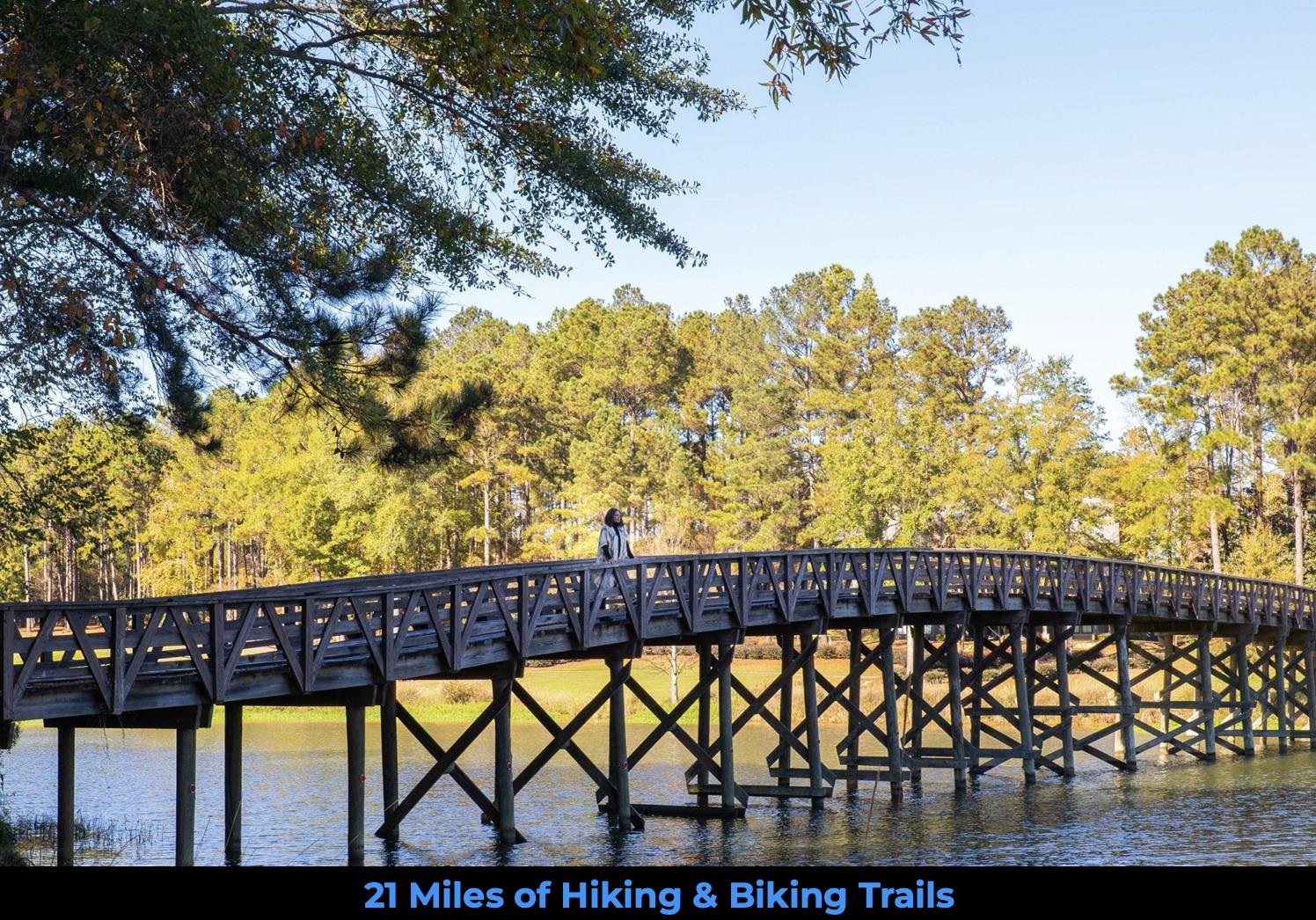 1103 Painted Bunting Drive image 16