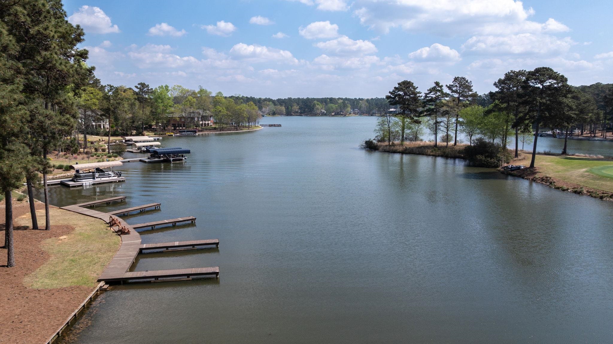 1010 AMASA LANE image 47