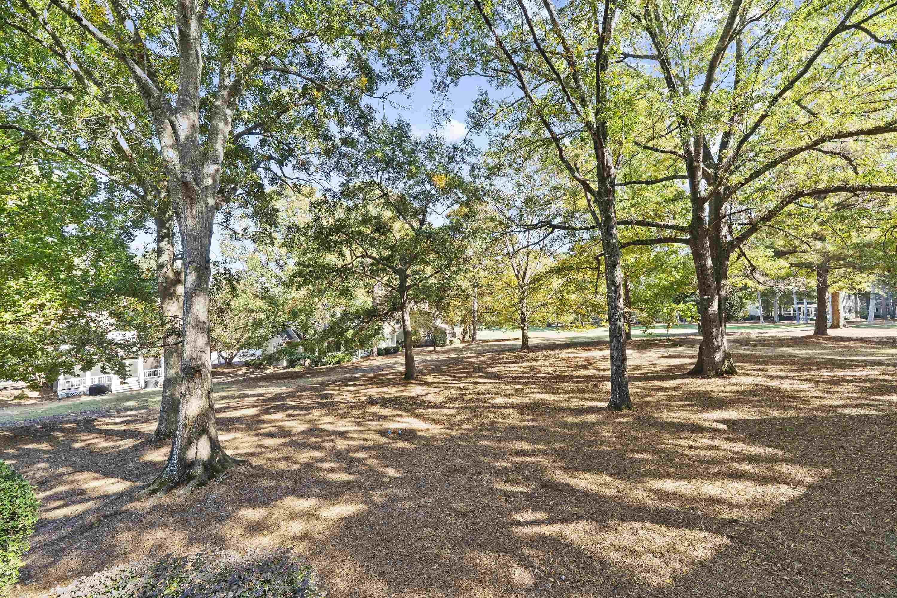 131 OAKTON SOUTH image 42