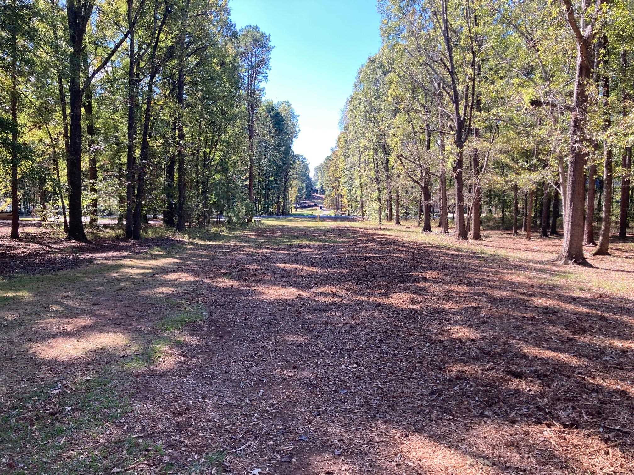 108 Porterfield Drive image 3