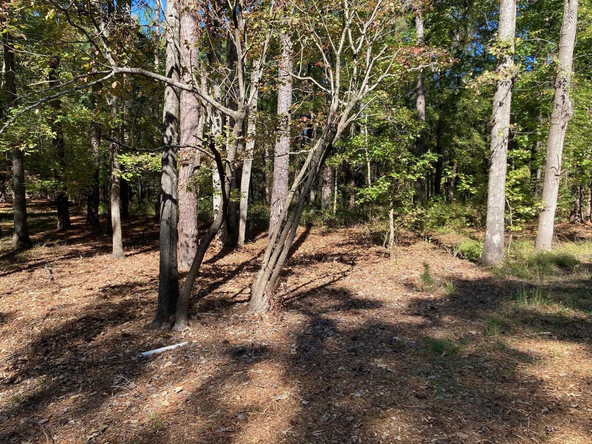 108 Porterfield Drive image 4