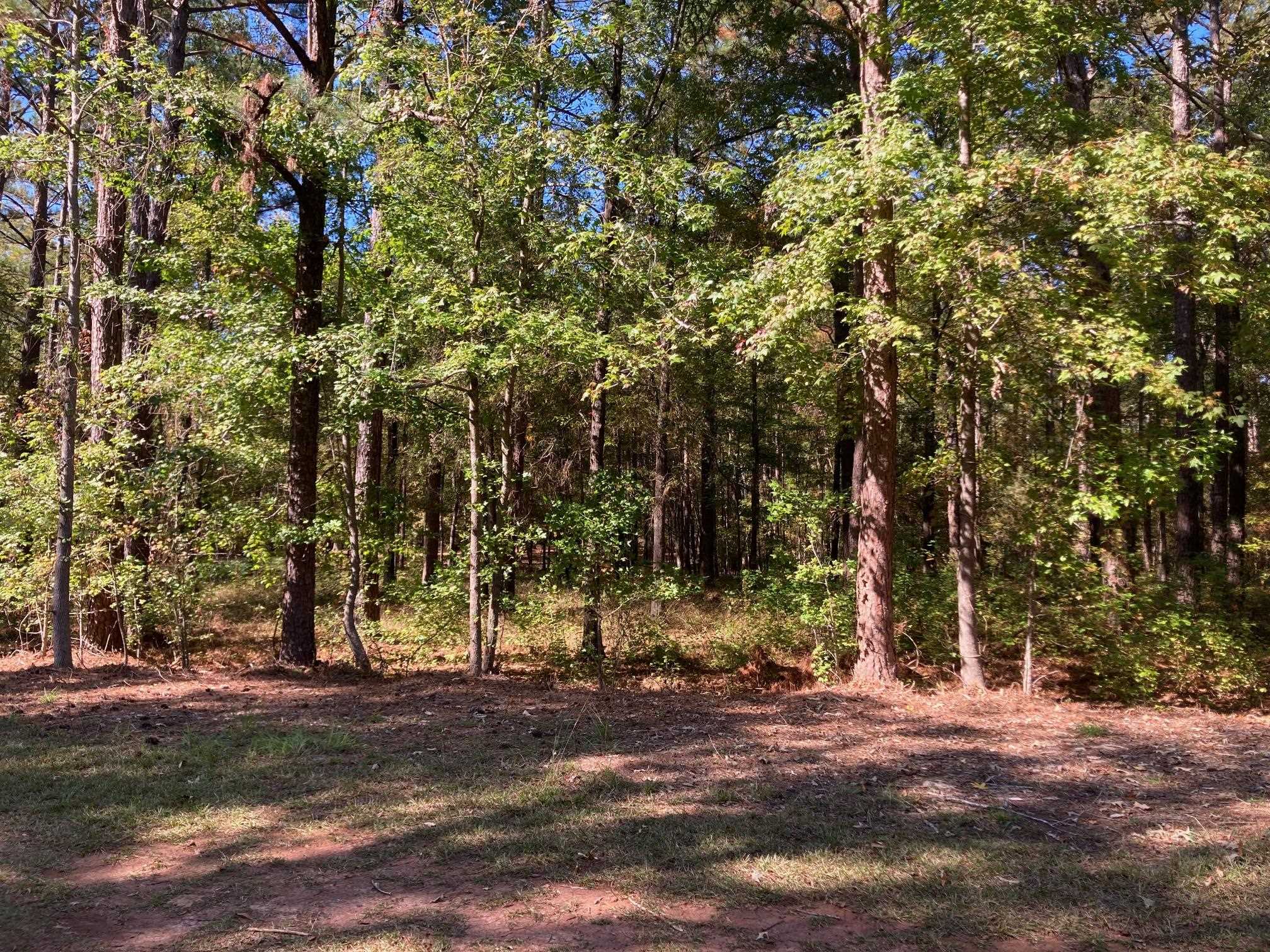 108 Porterfield Drive image 5