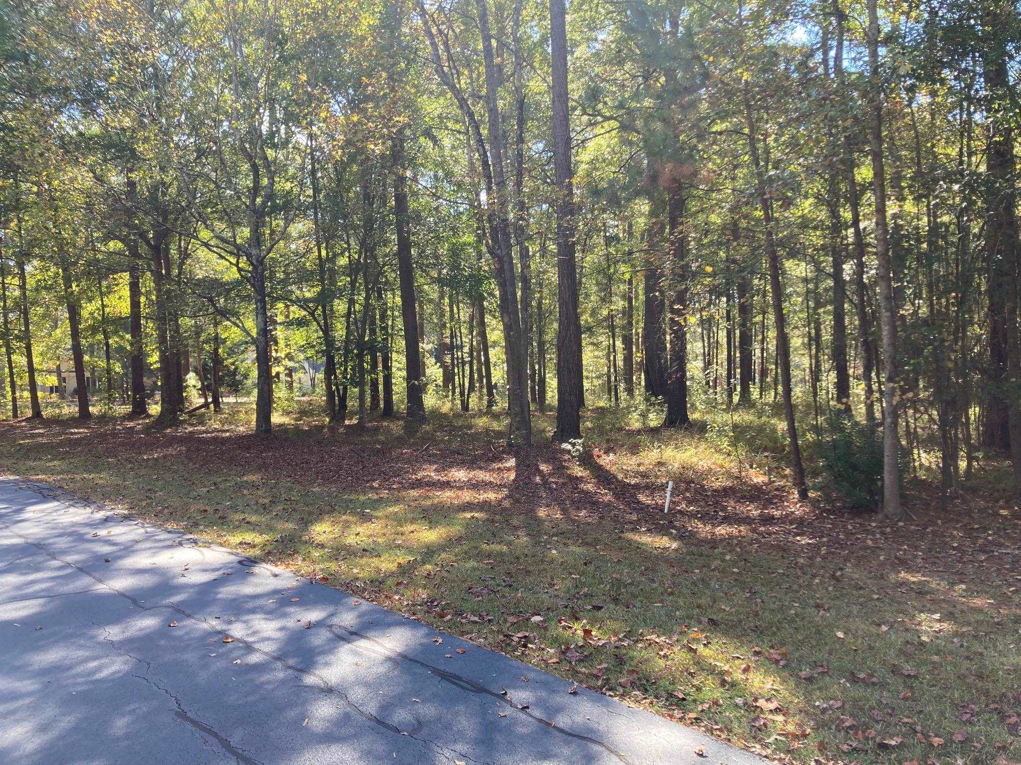 108 Porterfield Drive image 6