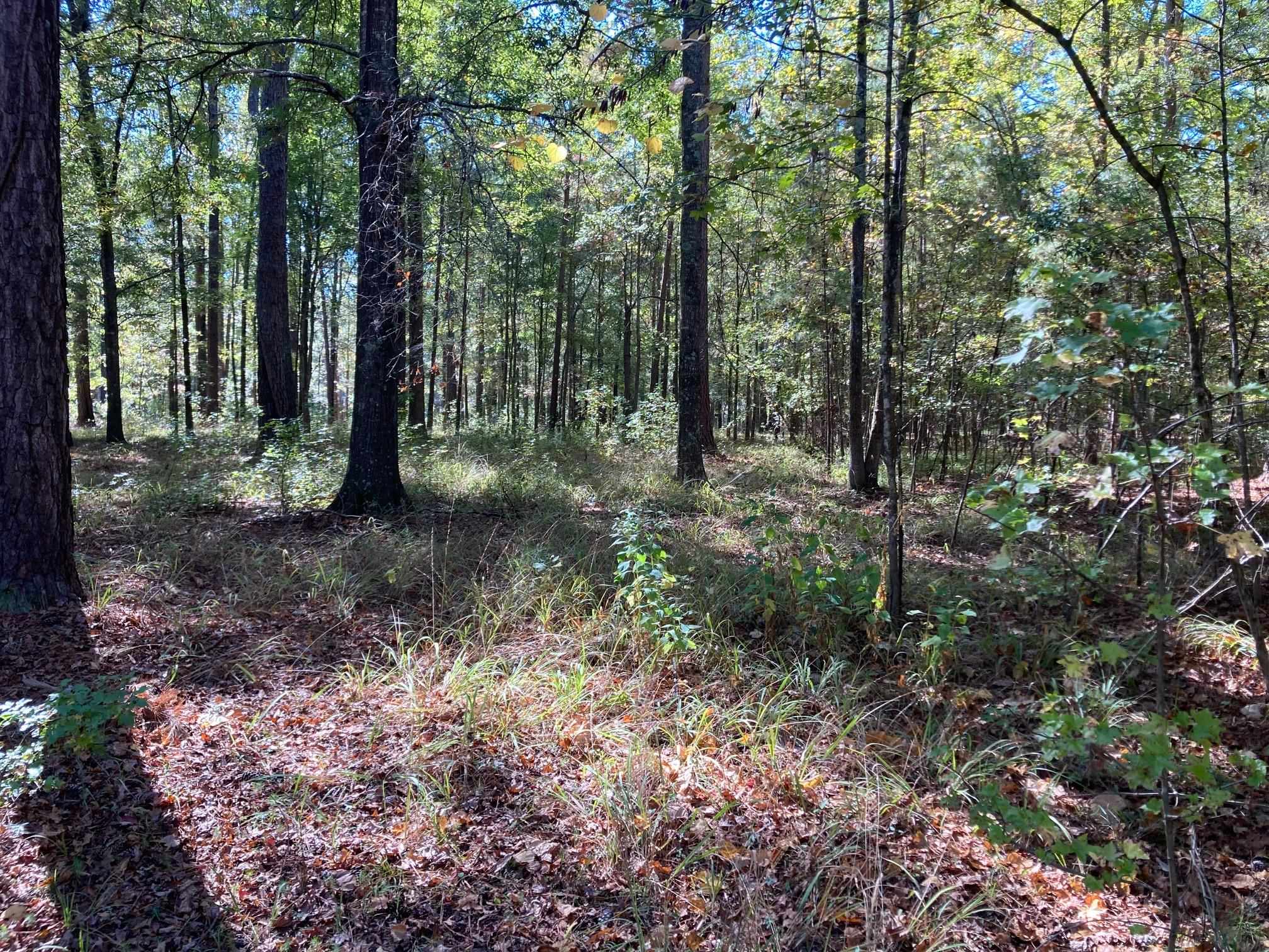 108 Porterfield Drive image 7