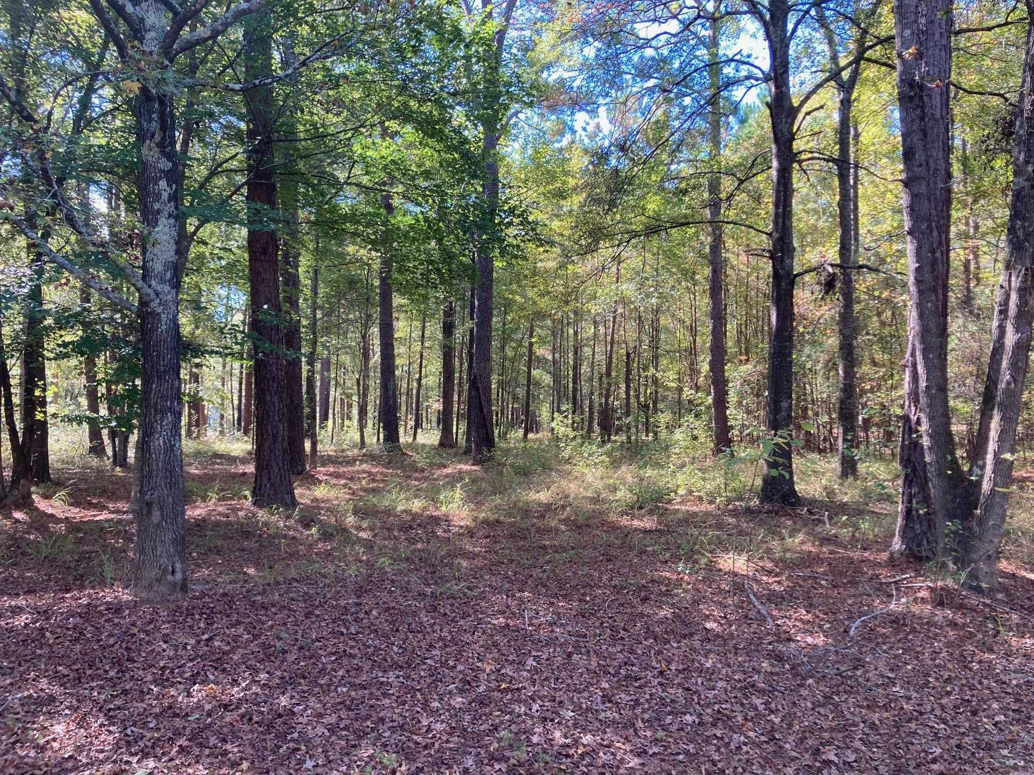 108 Porterfield Drive image 9